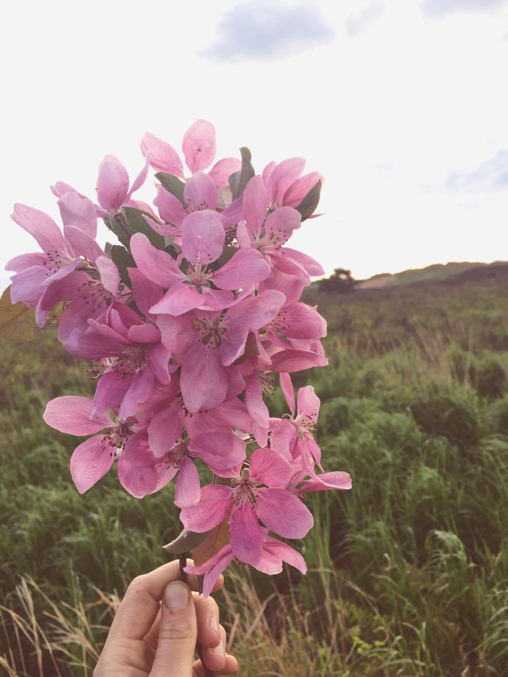 Monday Intentions Twelve