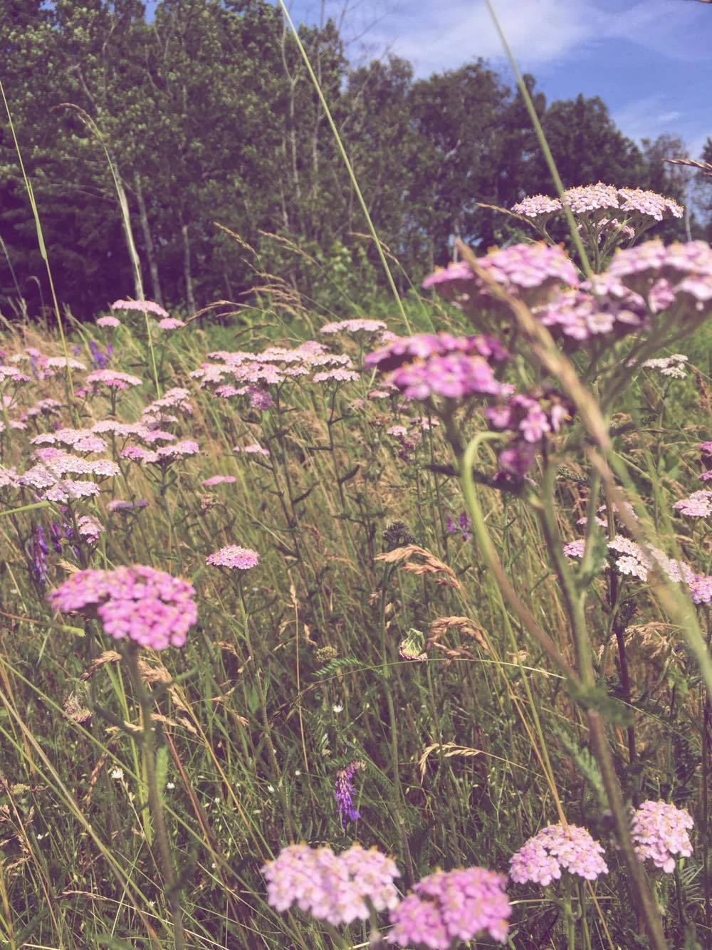 Monday Intentions Sixteen | Depth, Surrender + Trust