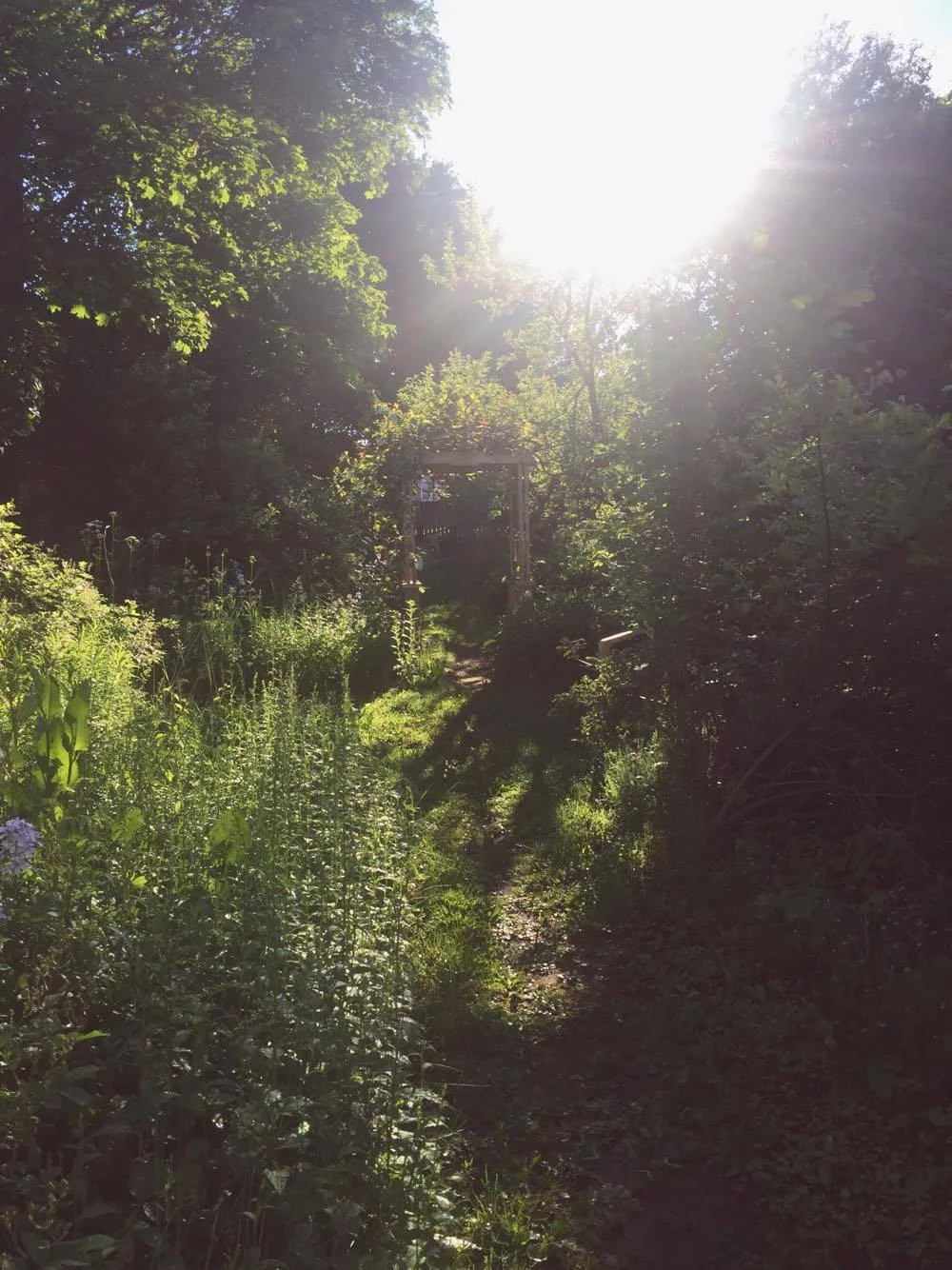 Monday Intentions Seventeen | Open Heart, Permission+ Knowing Thyself 