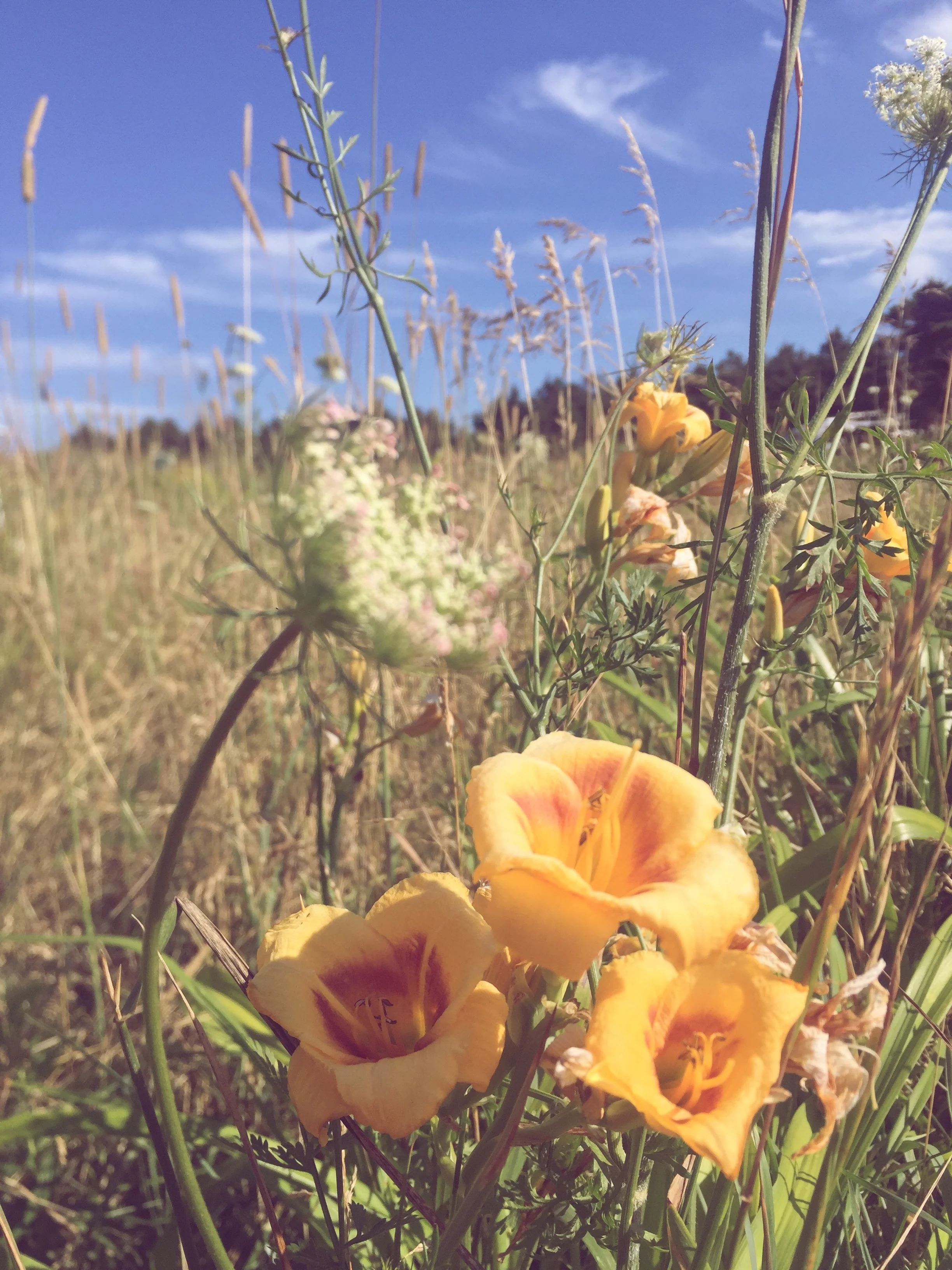 Monday Intentions Twenty | Inwards, Inventory and Inbetween 