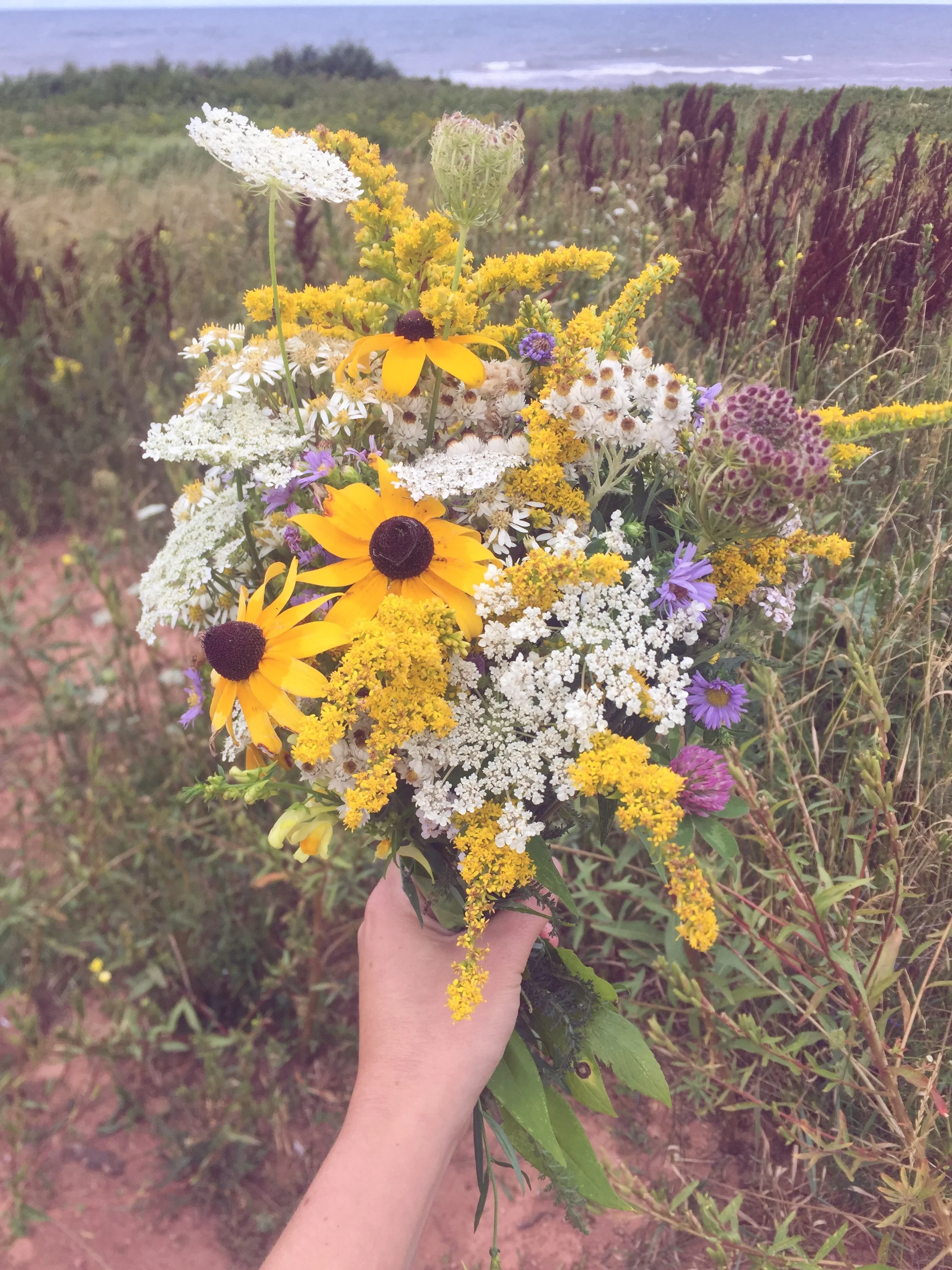 Monday Intentions Twenty Four | Full Heart, Love, Permission, Healing, and Gratitude