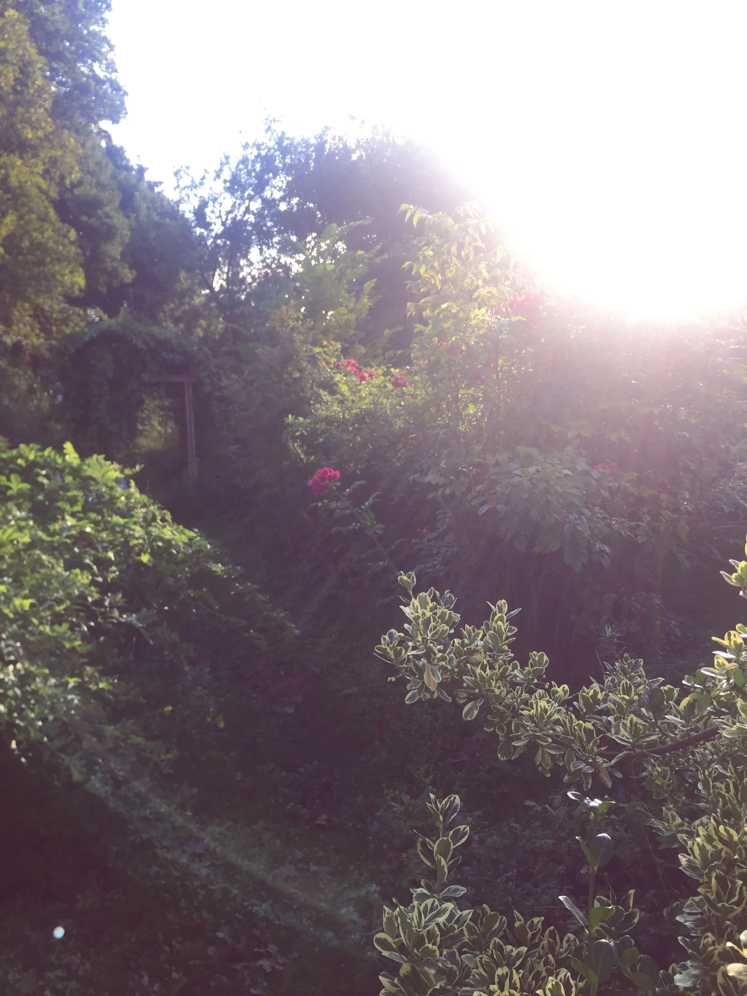 Trust as a Form of Honouring, Even When Our Path Doesn't Look like Anyone Else's 