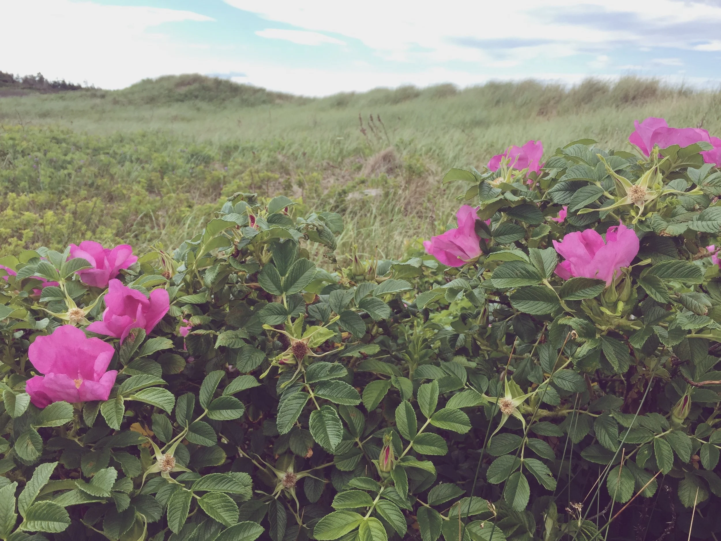 Why I Speak of Intention So Often