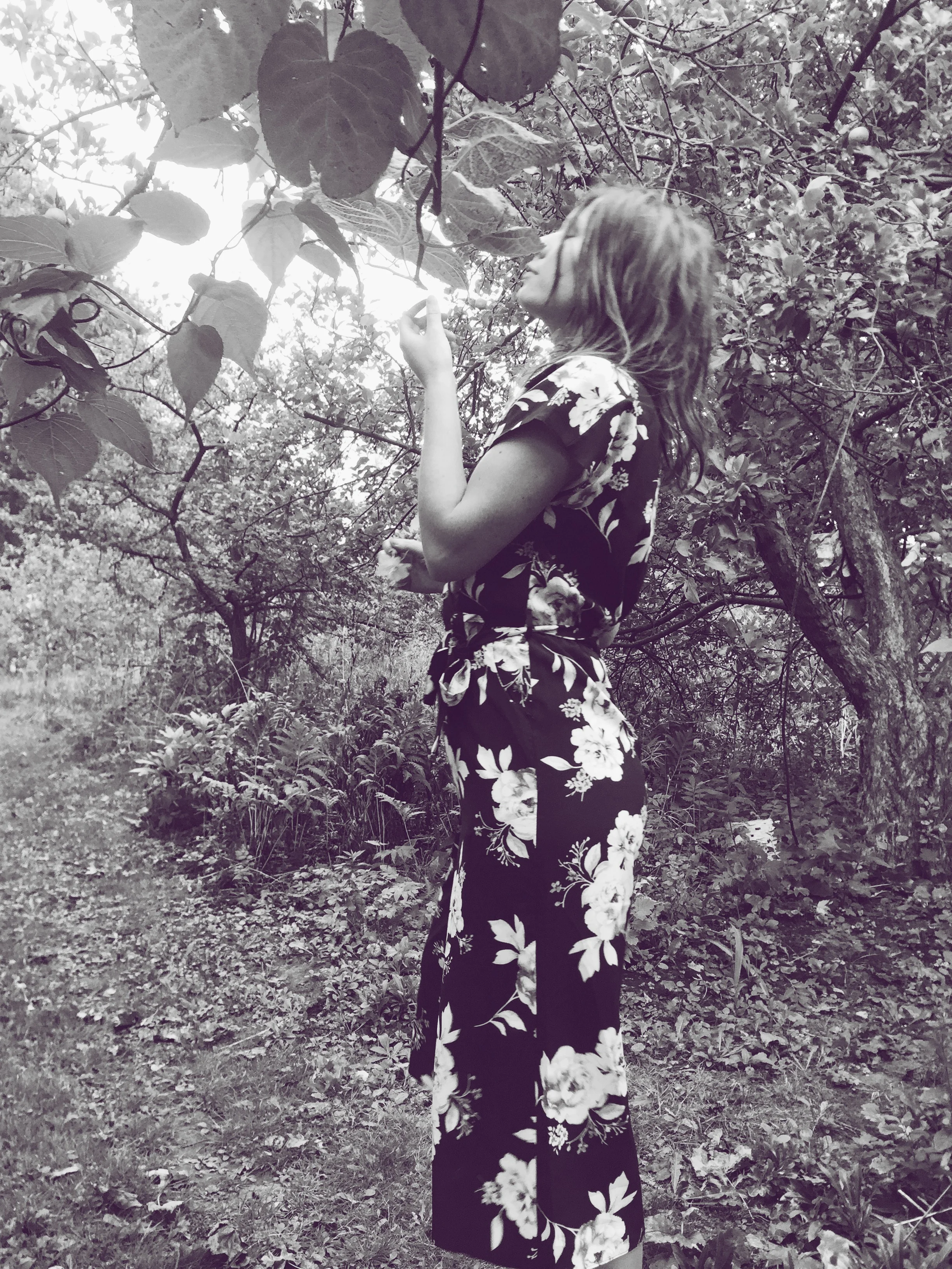 Monday Intentions Twenty Six | Focus, Inwards, Trust, Letting Go 