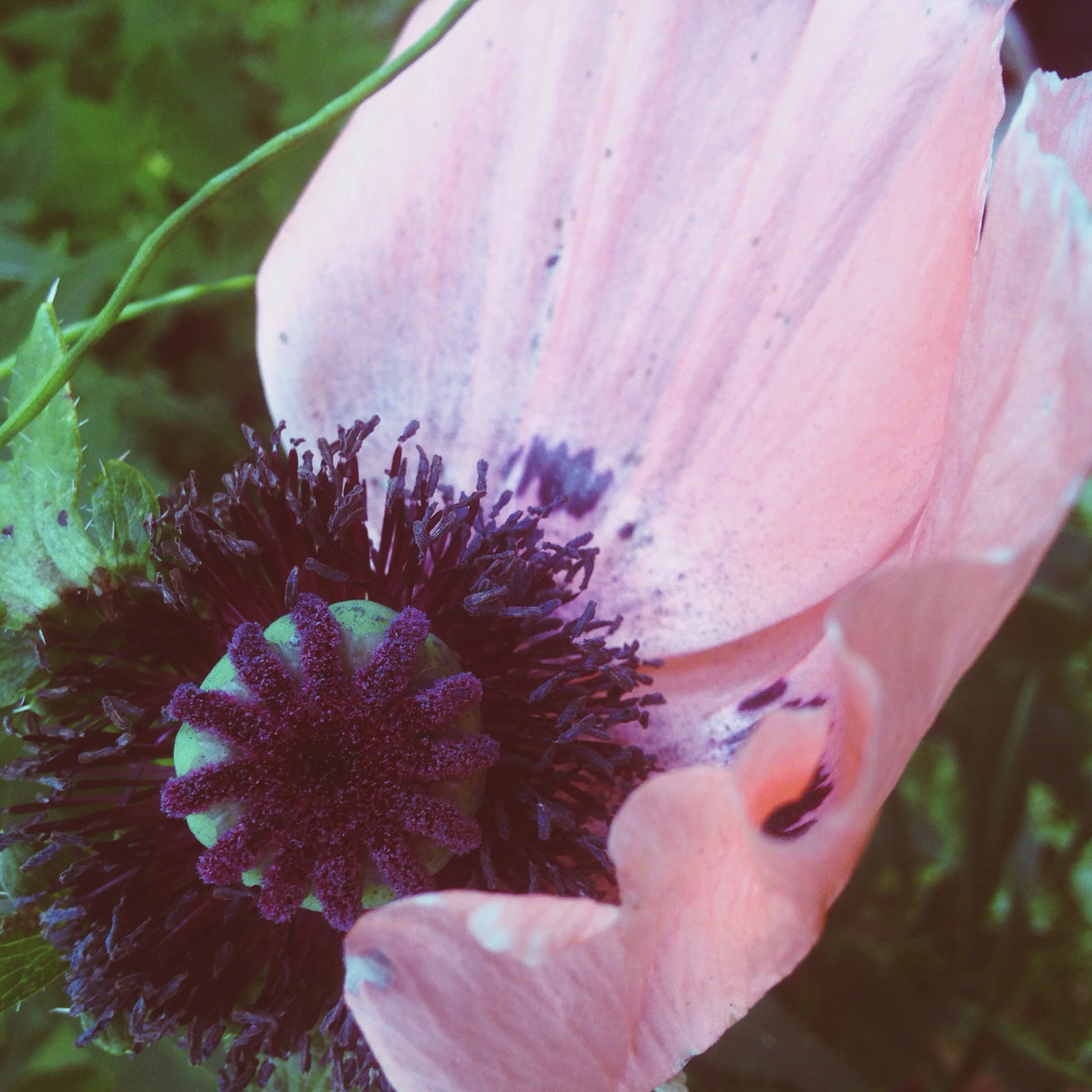 Monday Intentions Twenty Eight | Cultivating Worth and Being in Relationship with Myself 