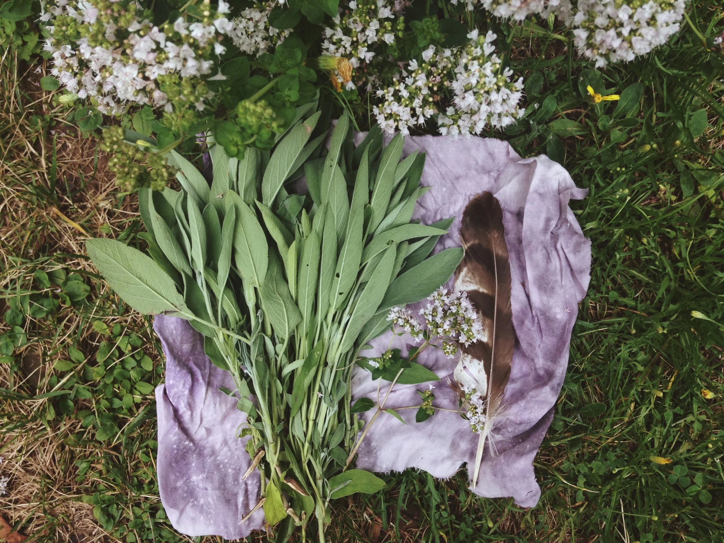 Unfolding at Our Own Pace 