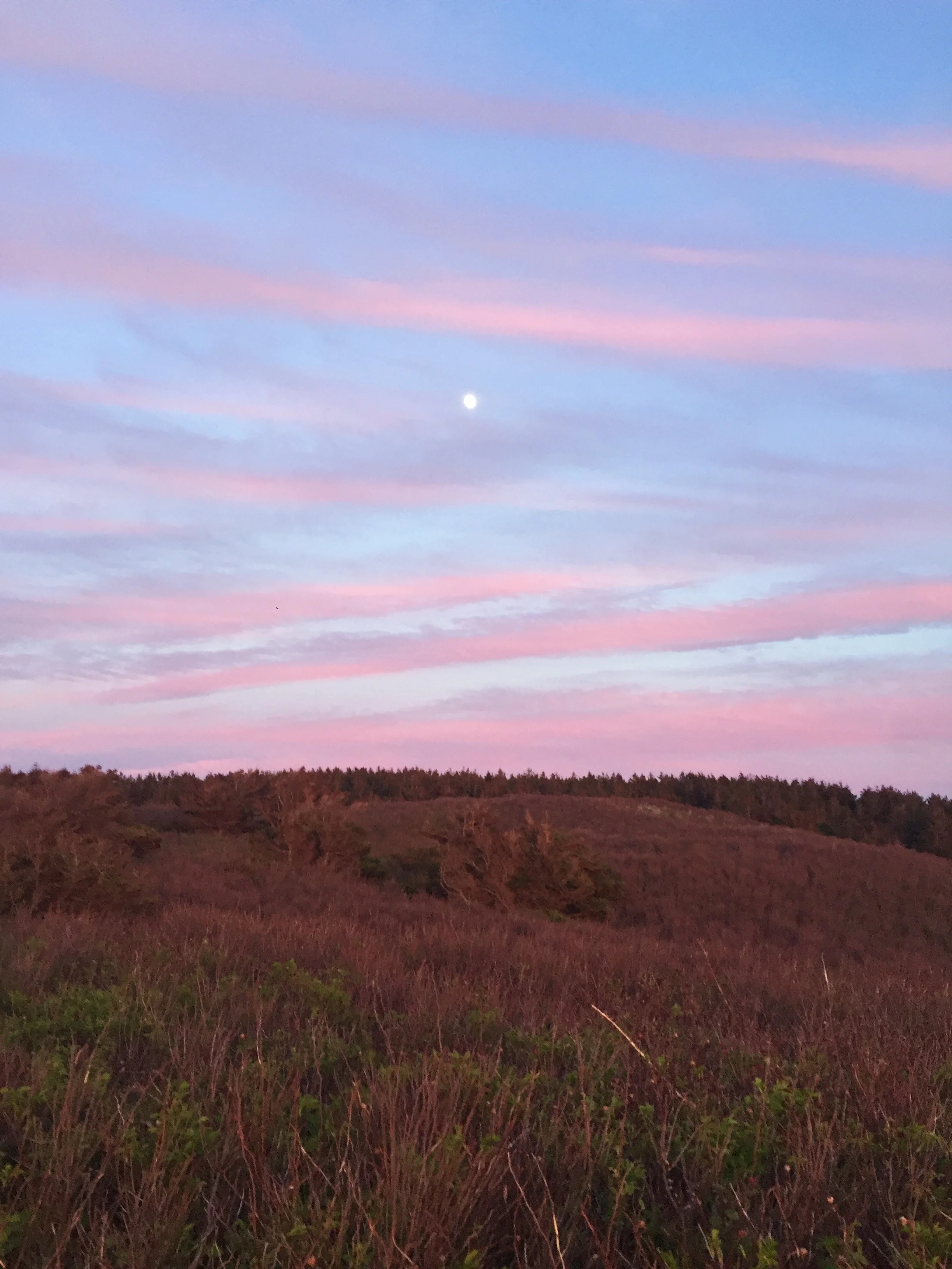 Monday Intentions Twenty Nine | Presence, Practicality and Feeling Safe