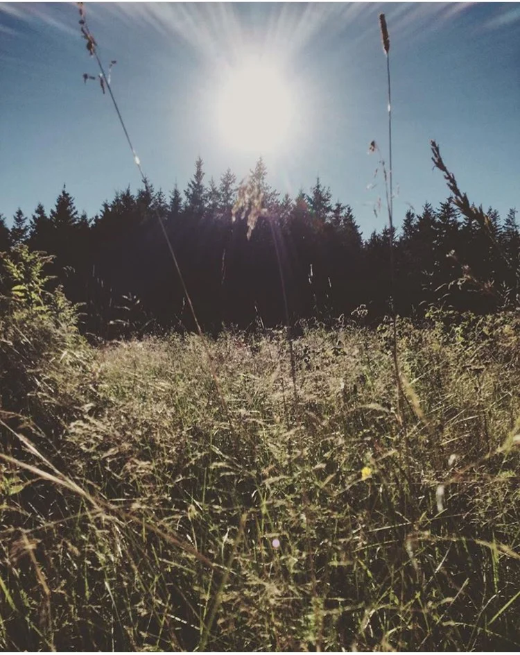 Monday Intentions Thirty One | Surrendered Confidence 