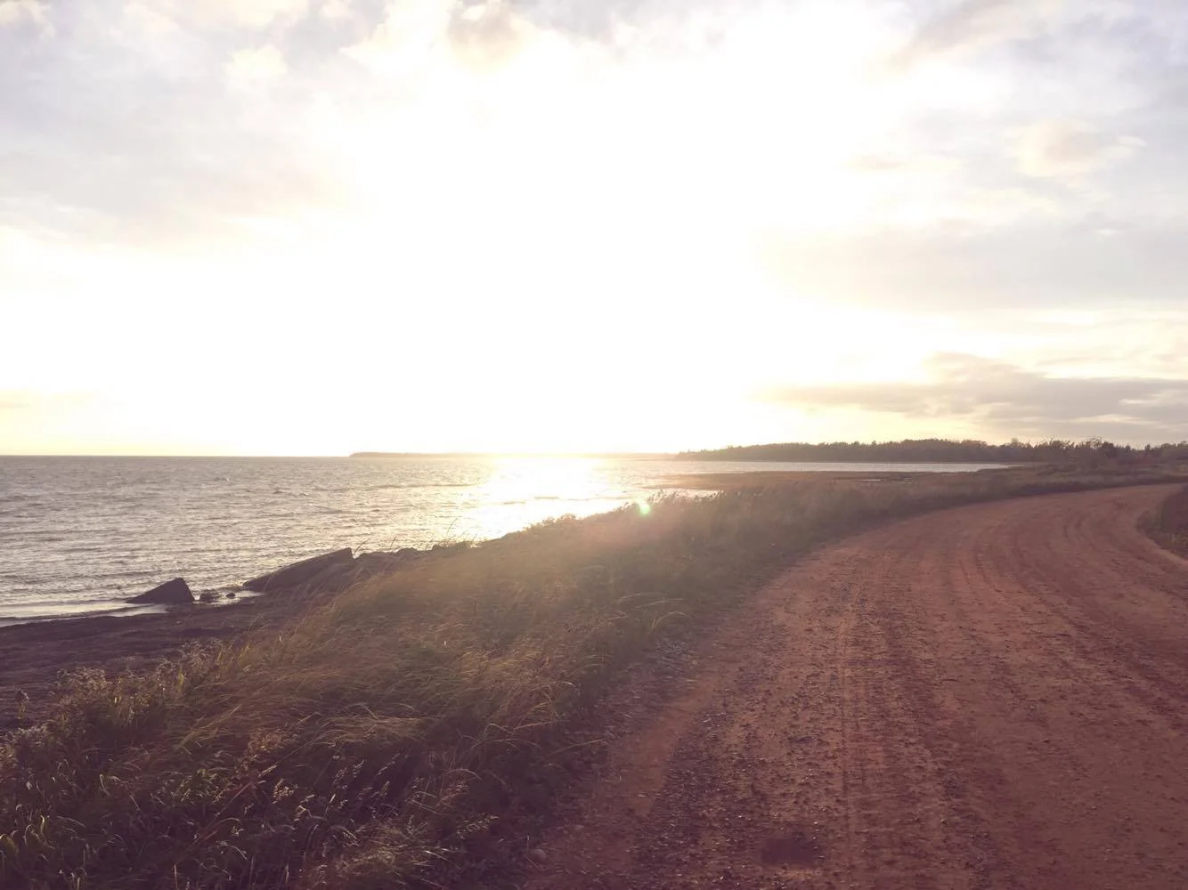 Gratitude + Sinking into Happiness and Fulfillment Within 