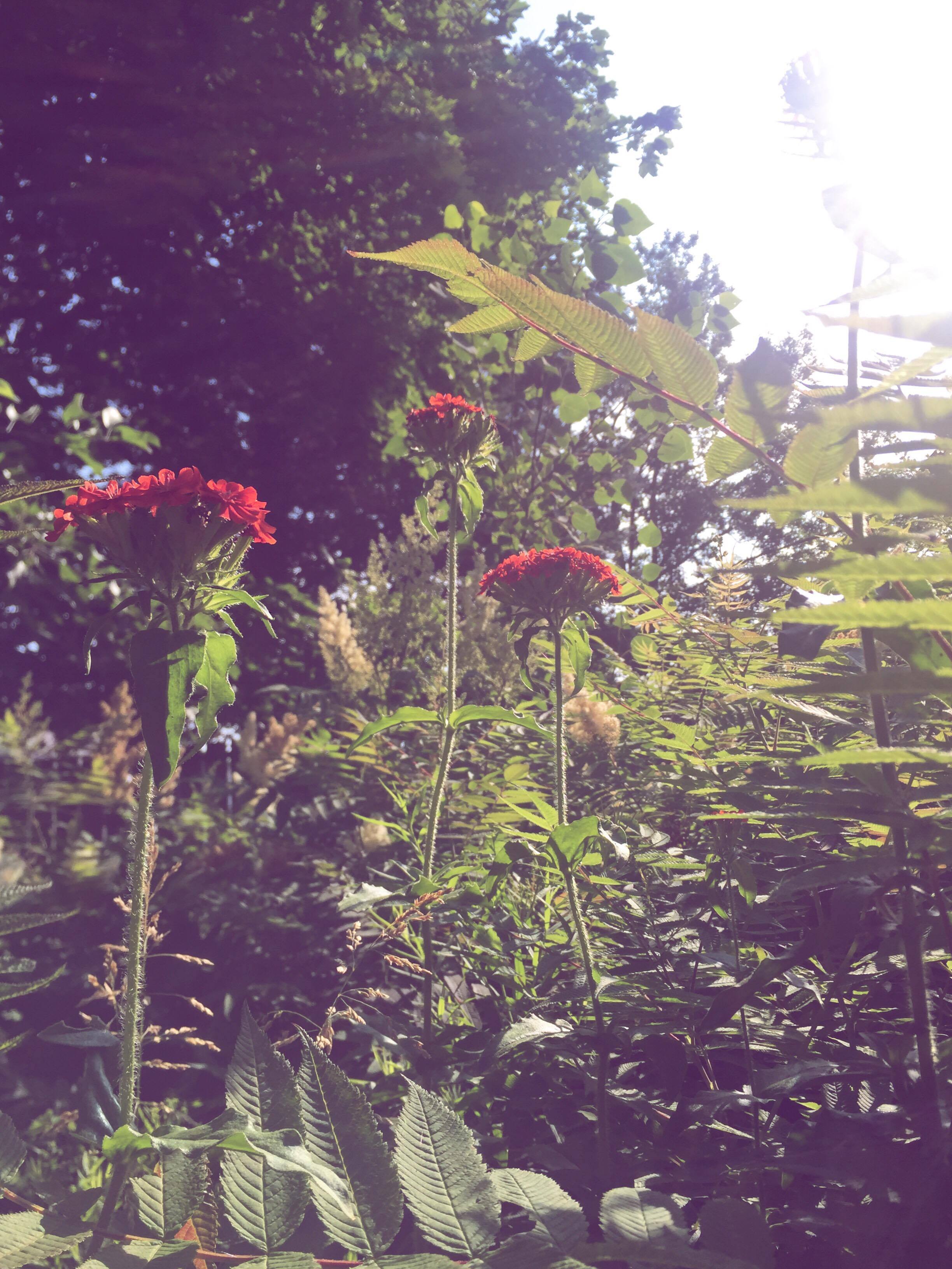 Monday Intentions Thirty Three | Balance