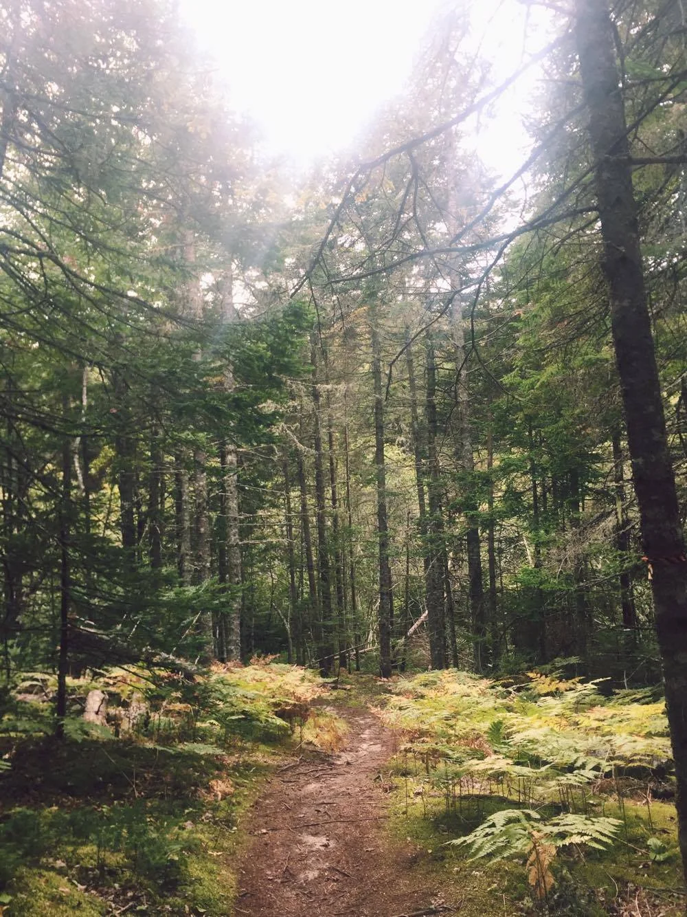 The Power of "Fuck It" 