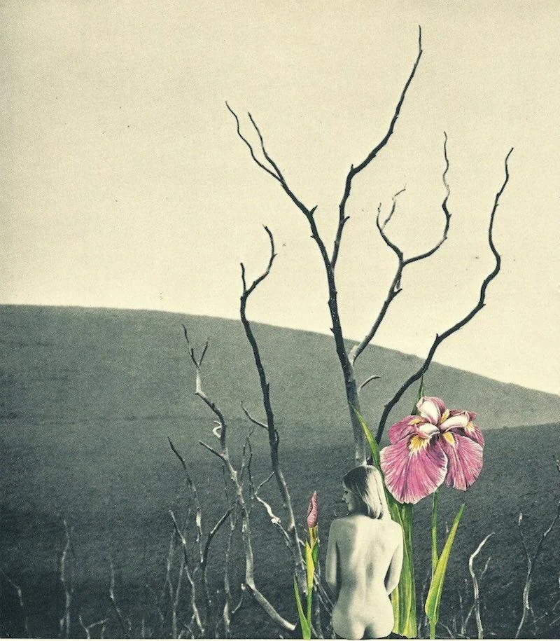 Collage: Mary Herrera&nbsp;