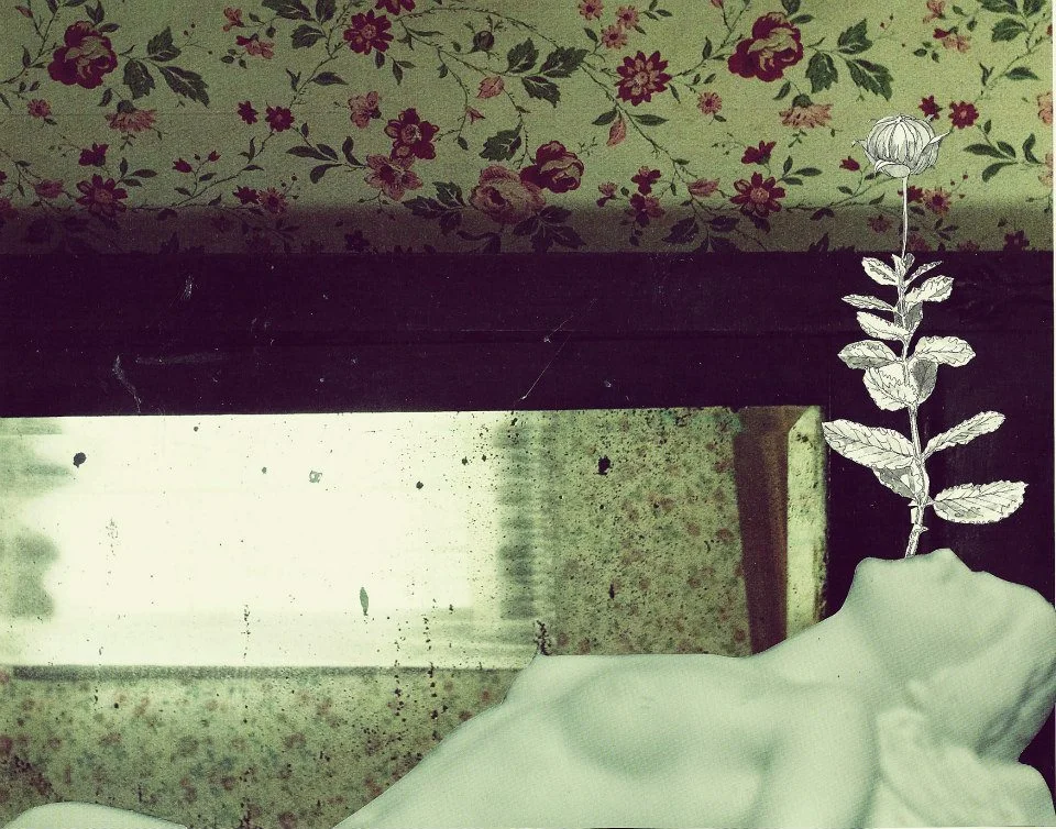 Making Space / Rebirth