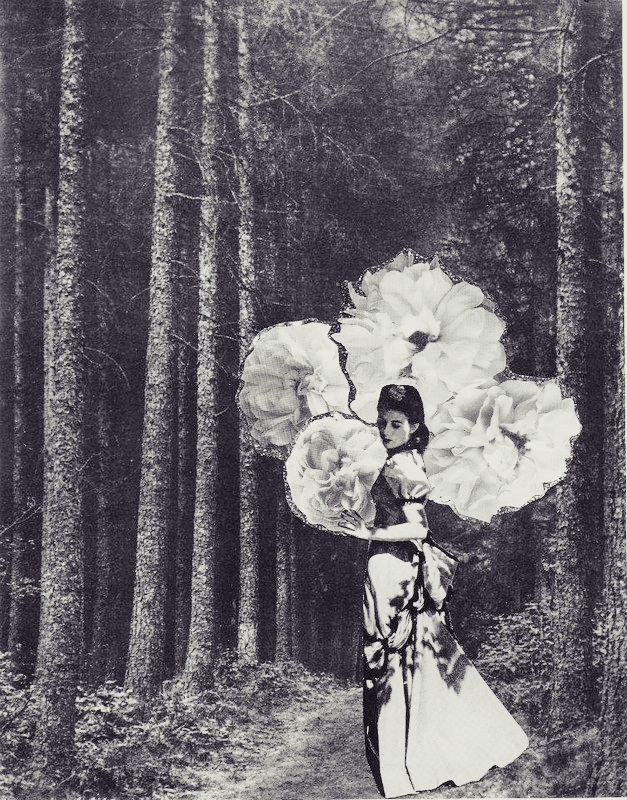 Art: Floral Atonomy&nbsp;