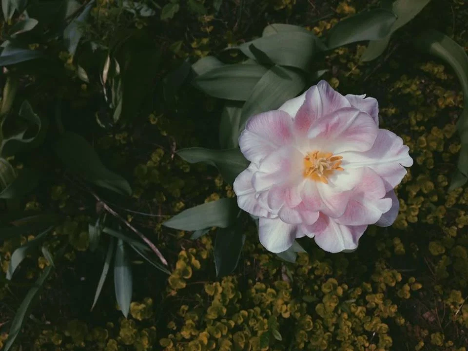 Monday Intentions Forty One | Change