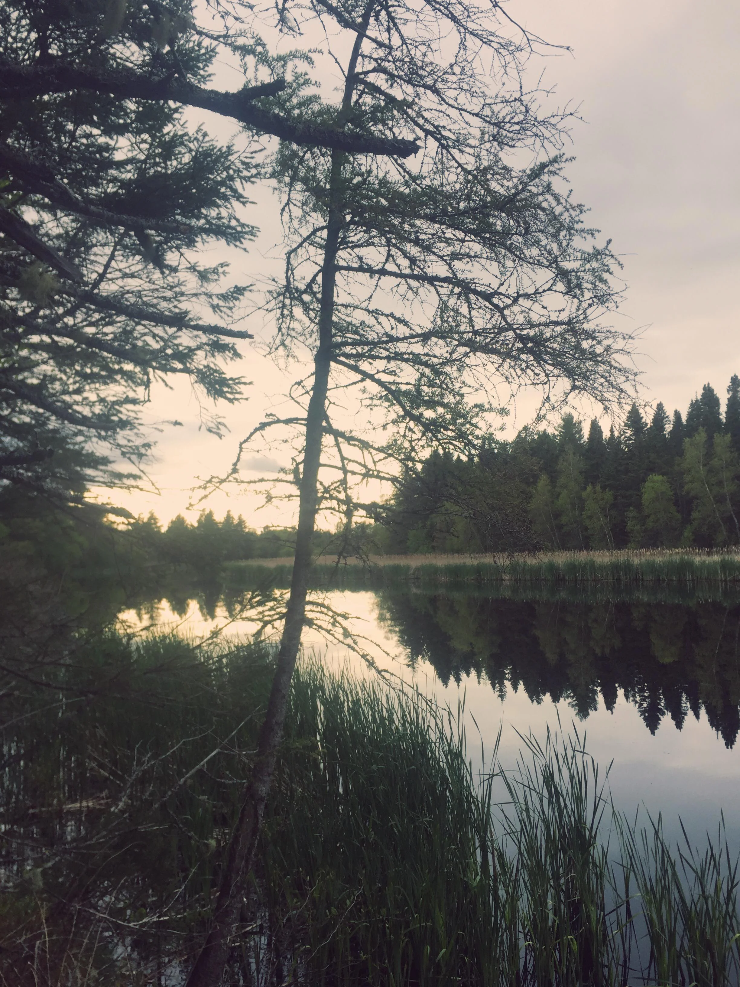 Monday Intentions Forty Nine | The Art of Shadow 