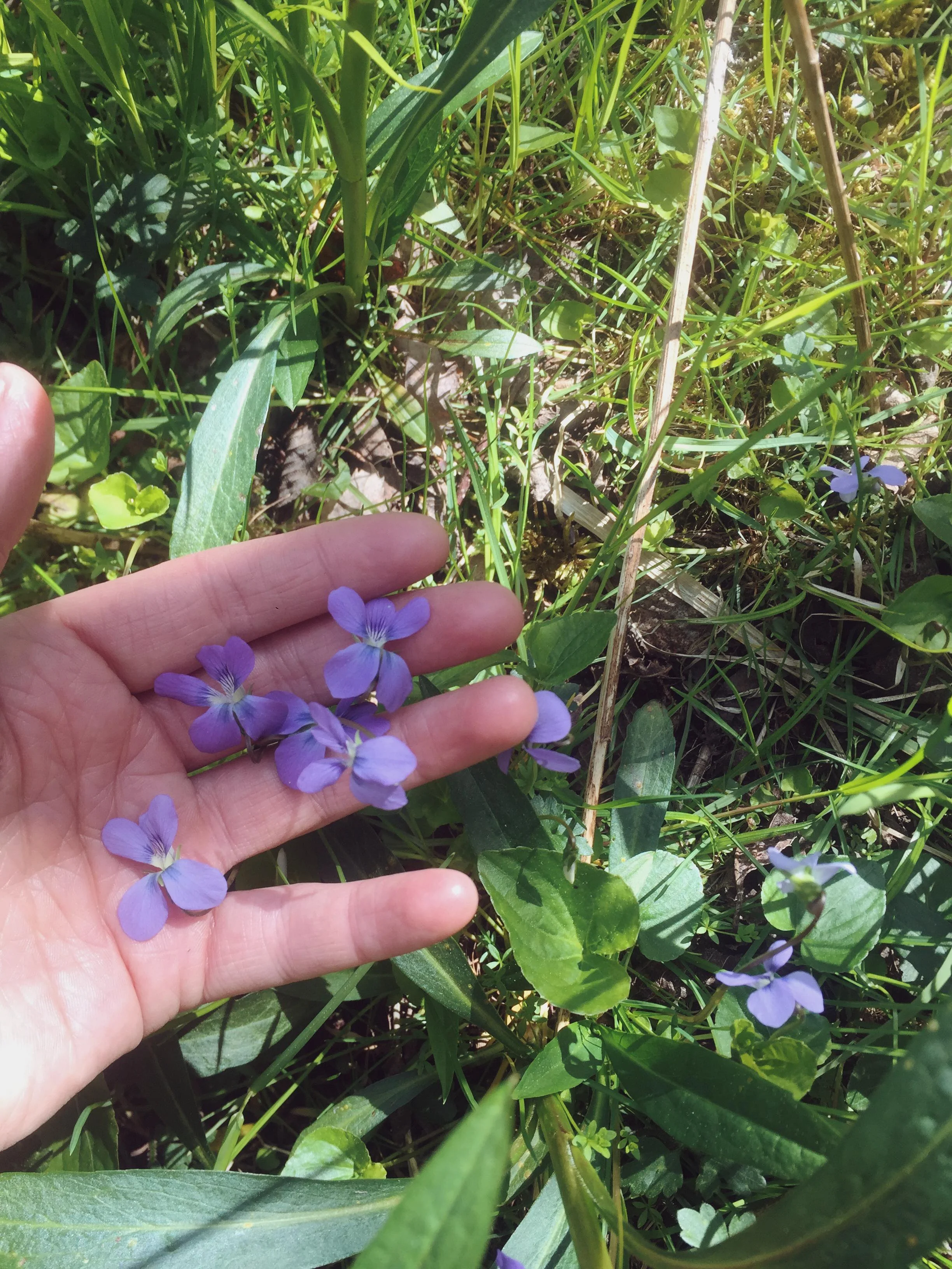 Monday Intentions Forty Eight | Turning(Seeking) Only Inwards