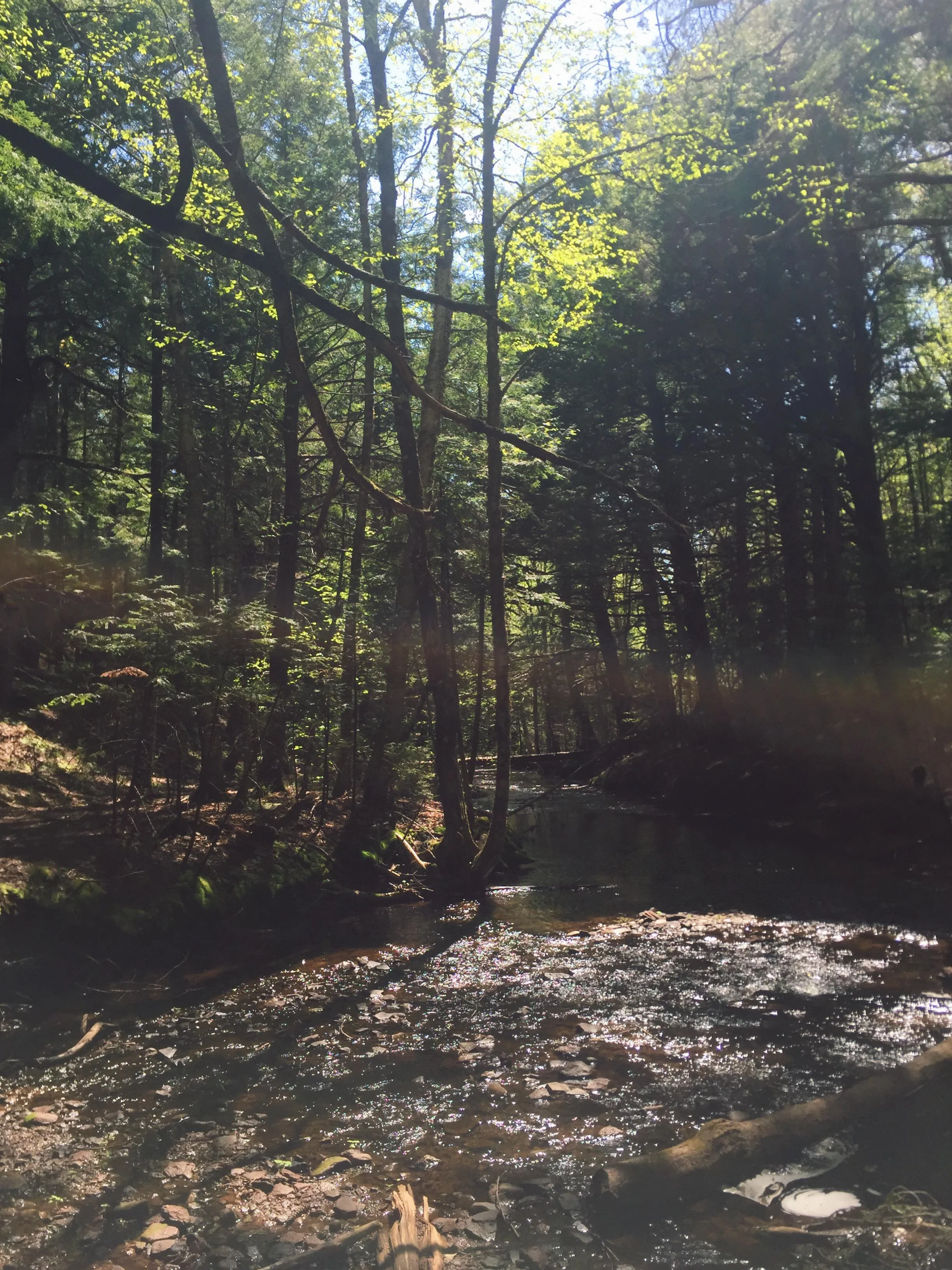 Patience with Unfolding + What is Still With Us Through it All