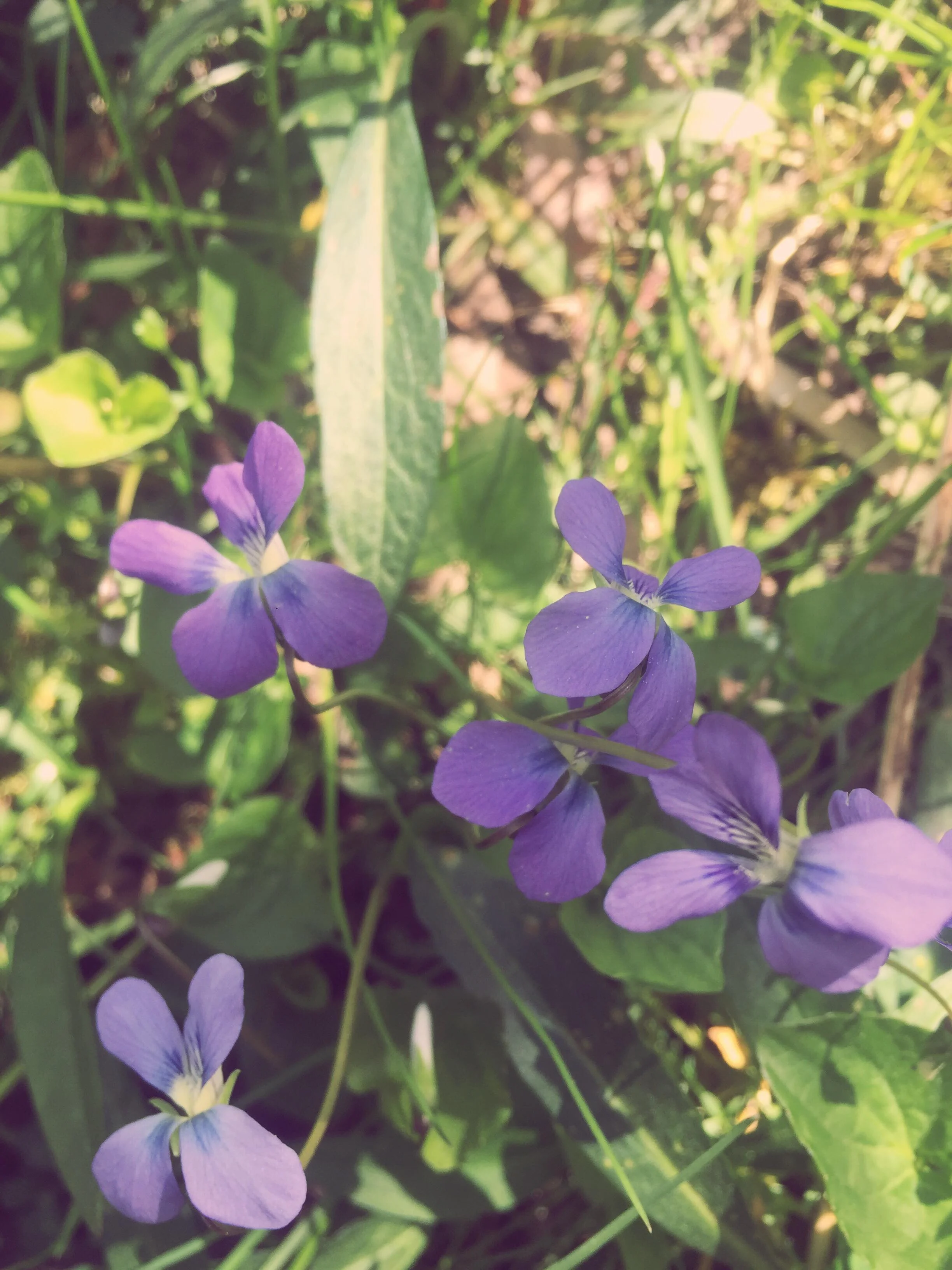 Trust and (True) Confidence are Everything