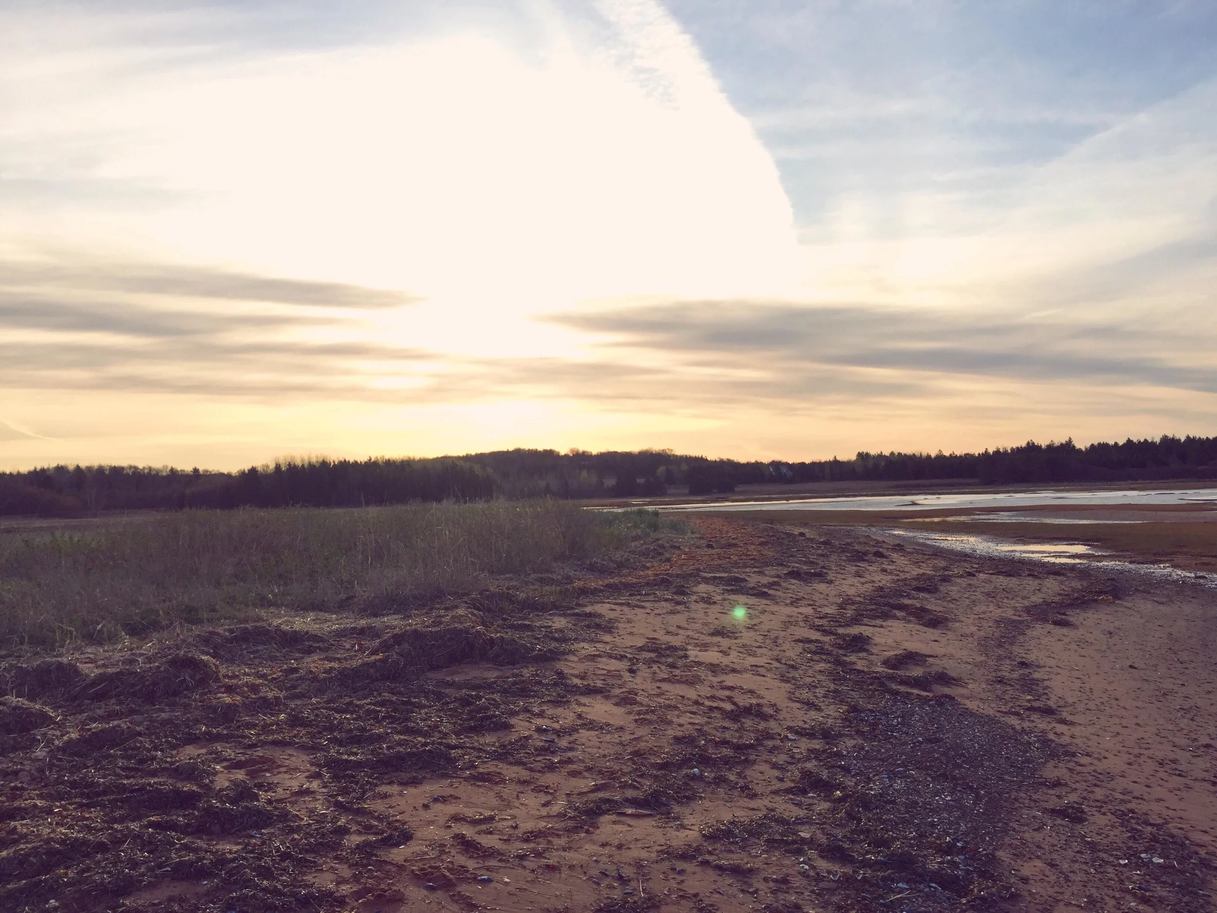 Monday Intentions Forty Seven | Honouring Truth 