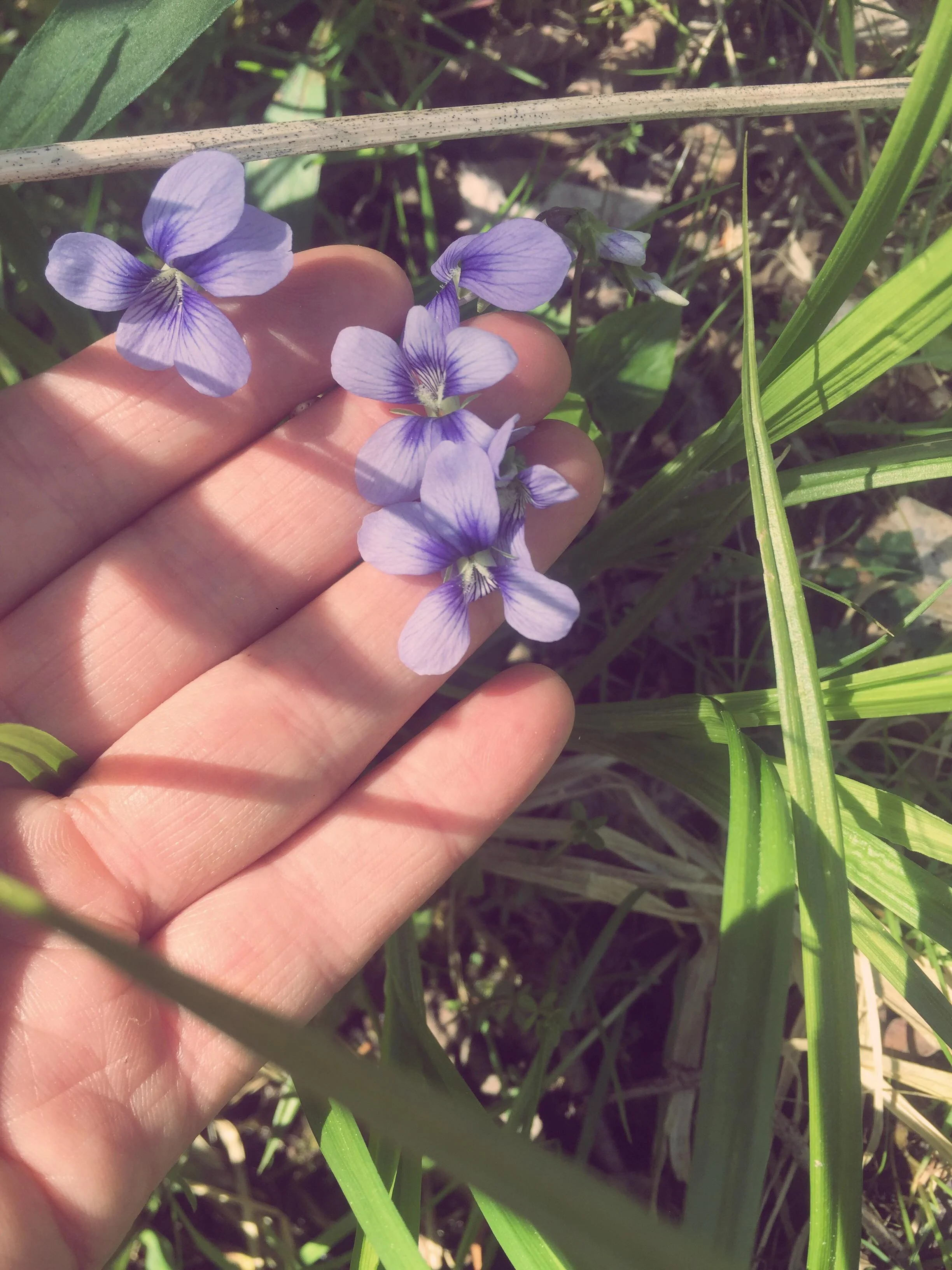 Monday Intentions Forty Four | Nurture, Nourish, Accept, Act