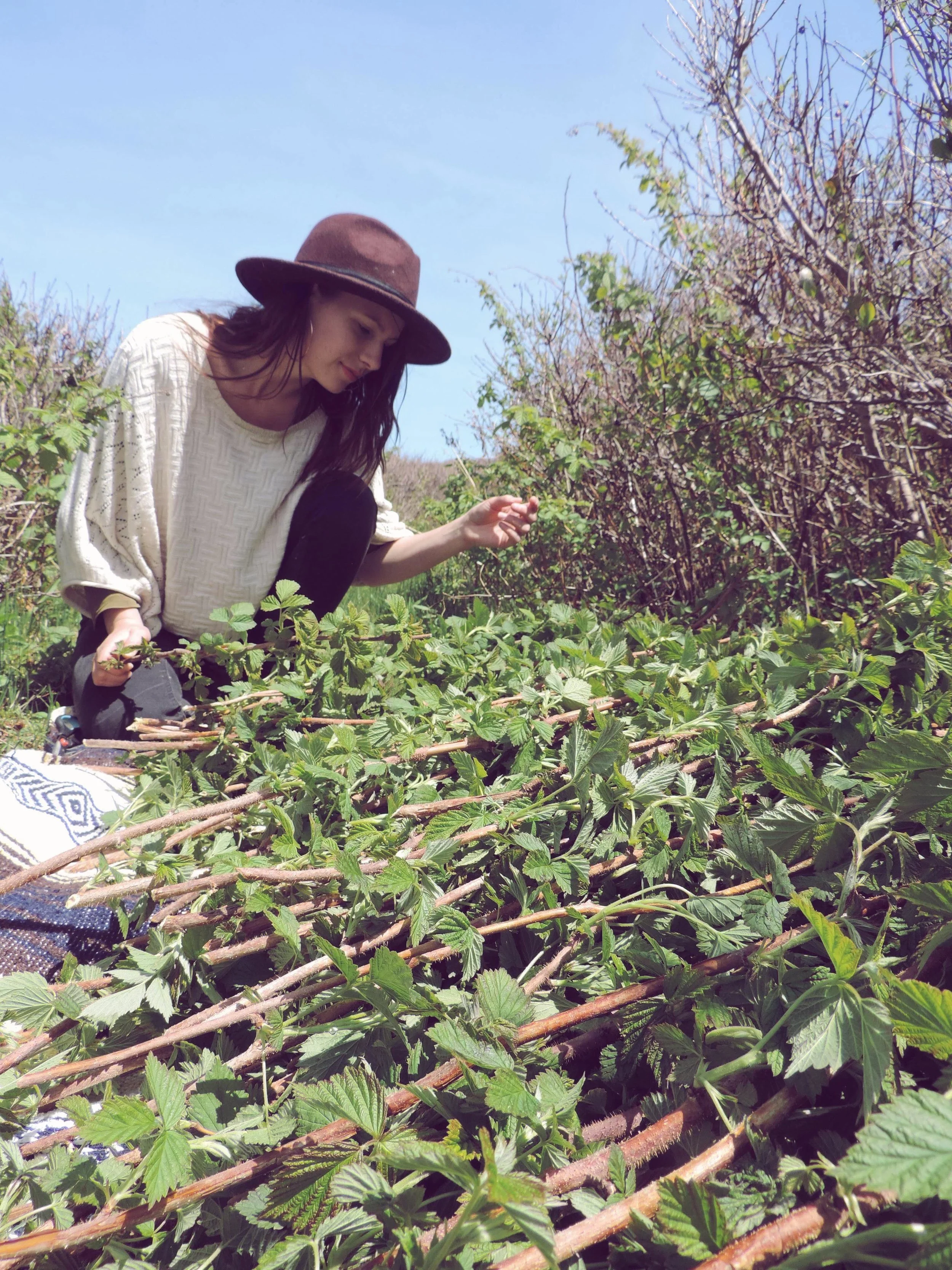 Monday Intentions Fifty Two | Coming Back