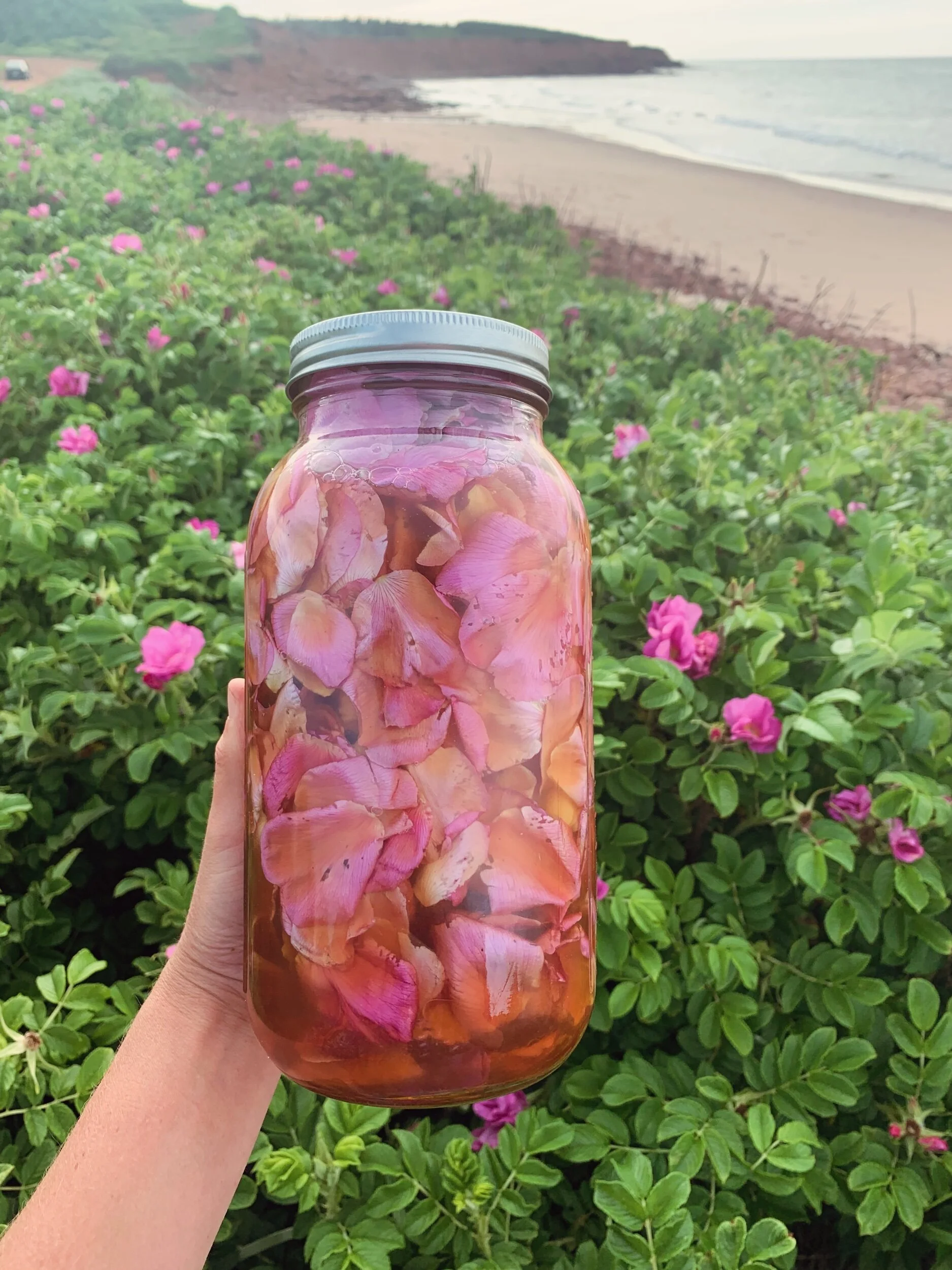 D642ABE6-9F76-4B51-A30E-BE31182E8634