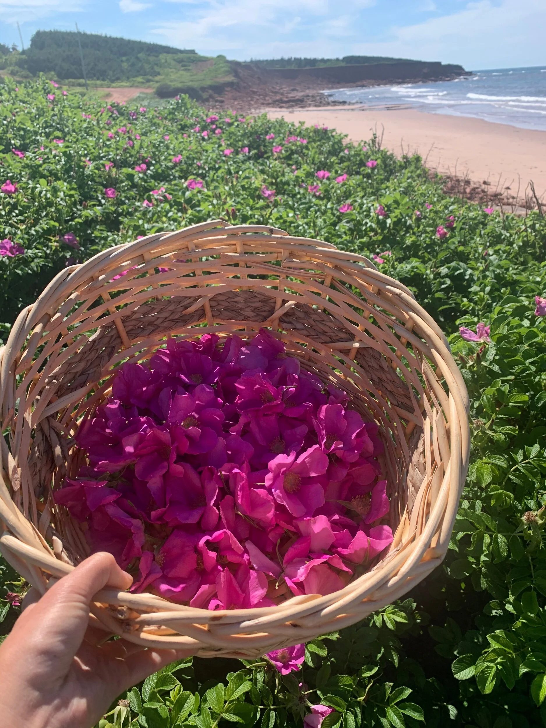 7B929BE9-F802-406D-9066-FD1476FA60DE