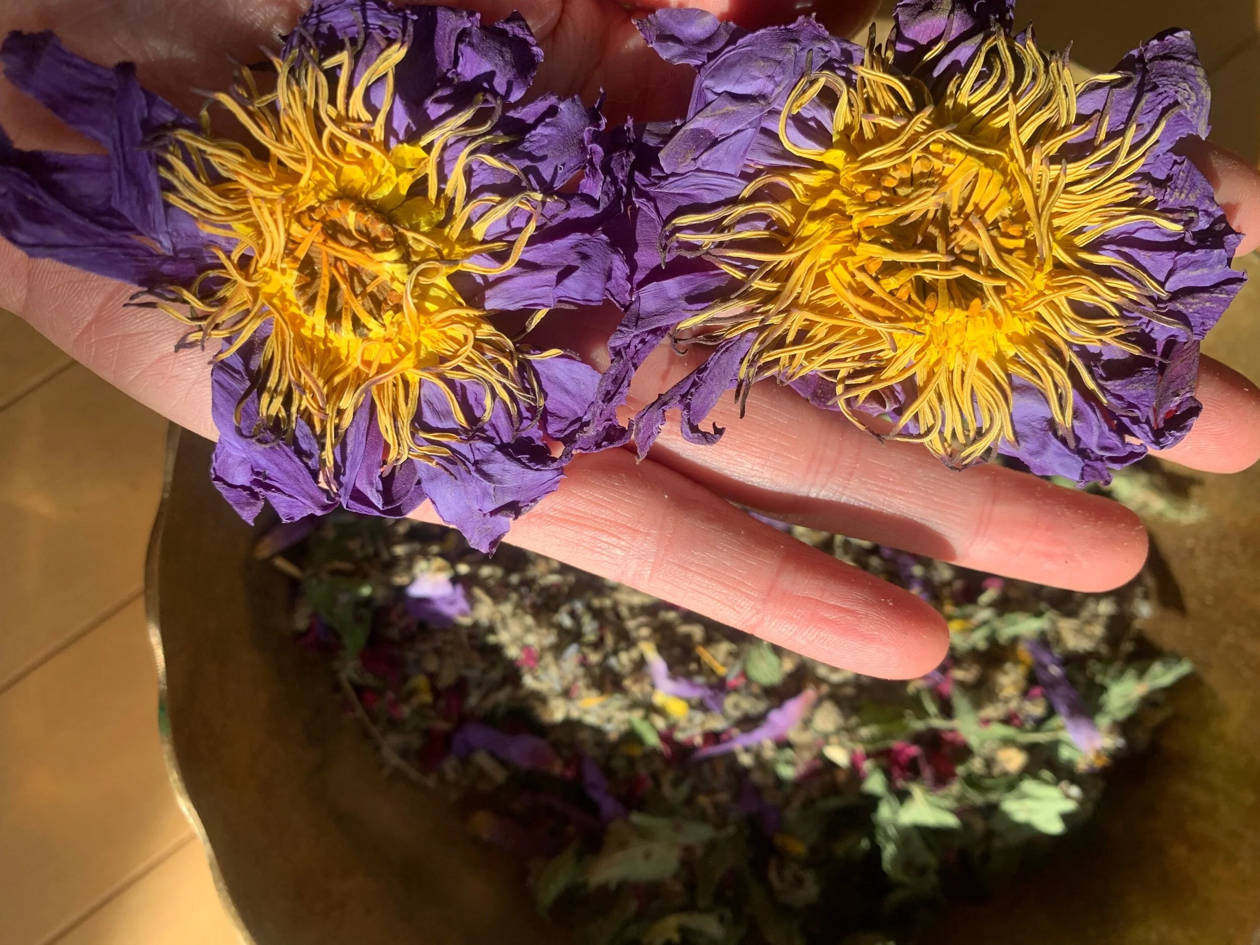 C963B284-CA39-4C25-BA95-412A5EA59E27