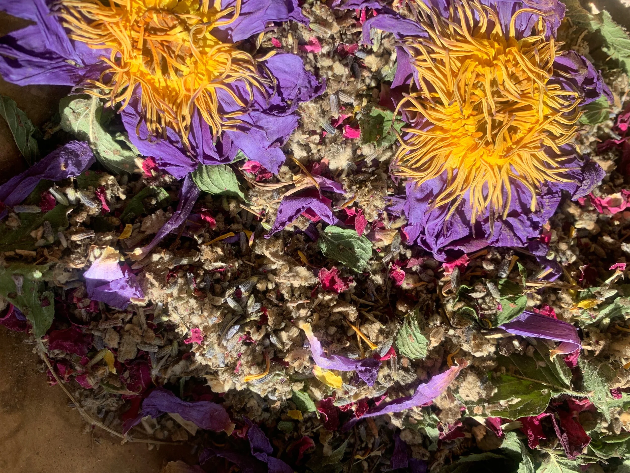 F40E5E2F-3F09-4FB7-81C6-3C637CCD27A2