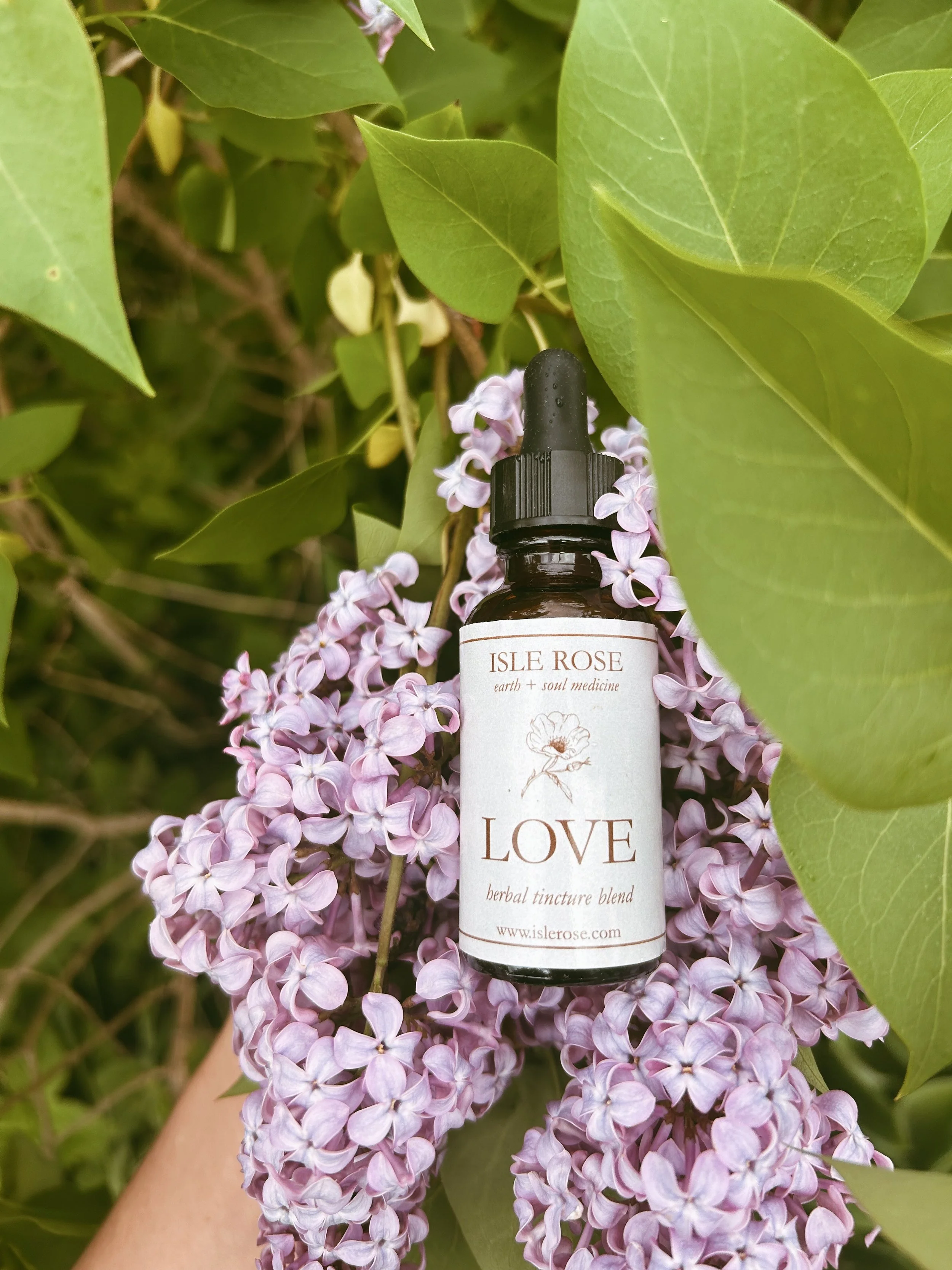 Love Tincture | Herbs for Heart Healing and Opening