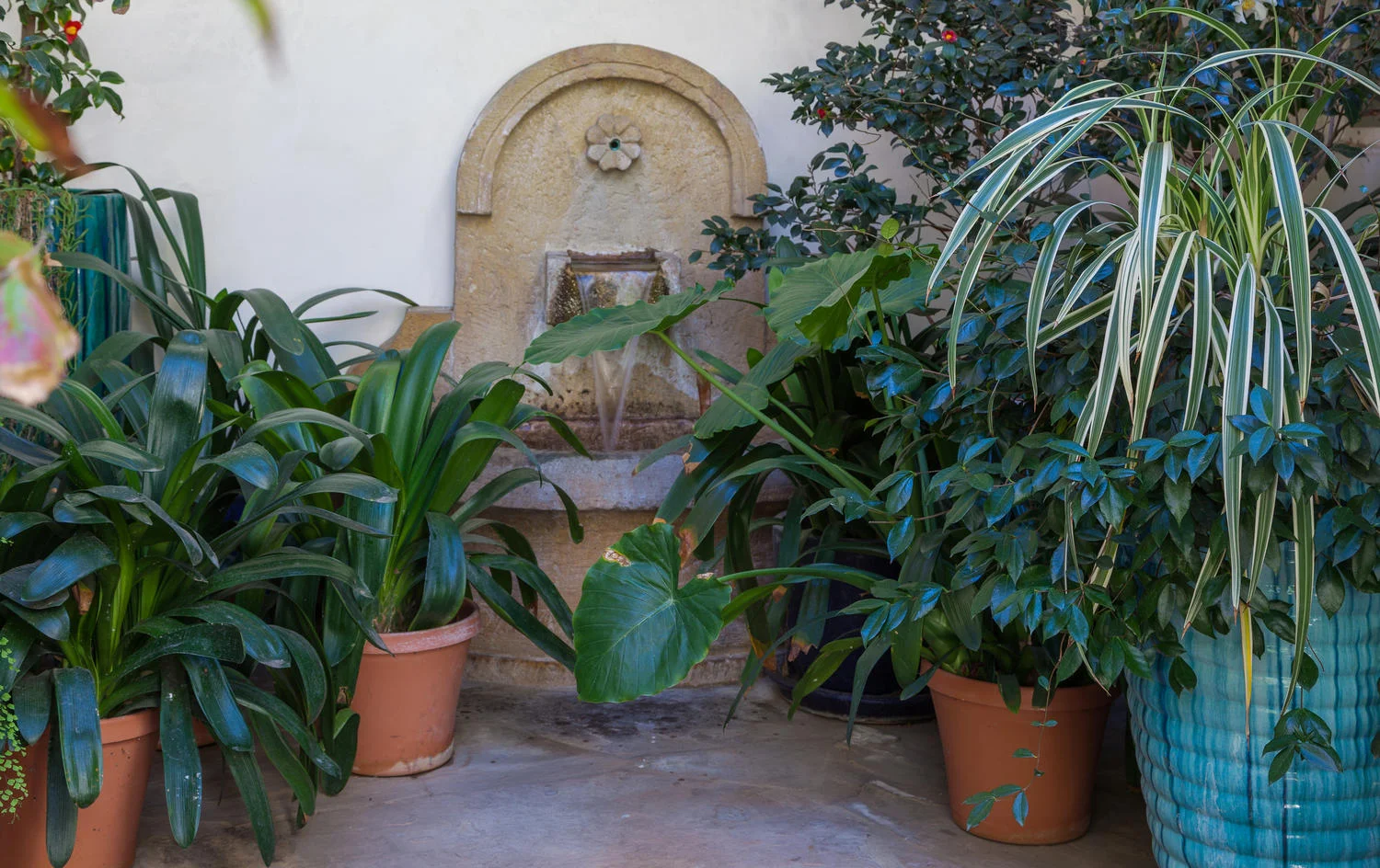 03 Classic Montecito Spanish-large-003-Courtyard-1500x944-72dpi_1.jpg