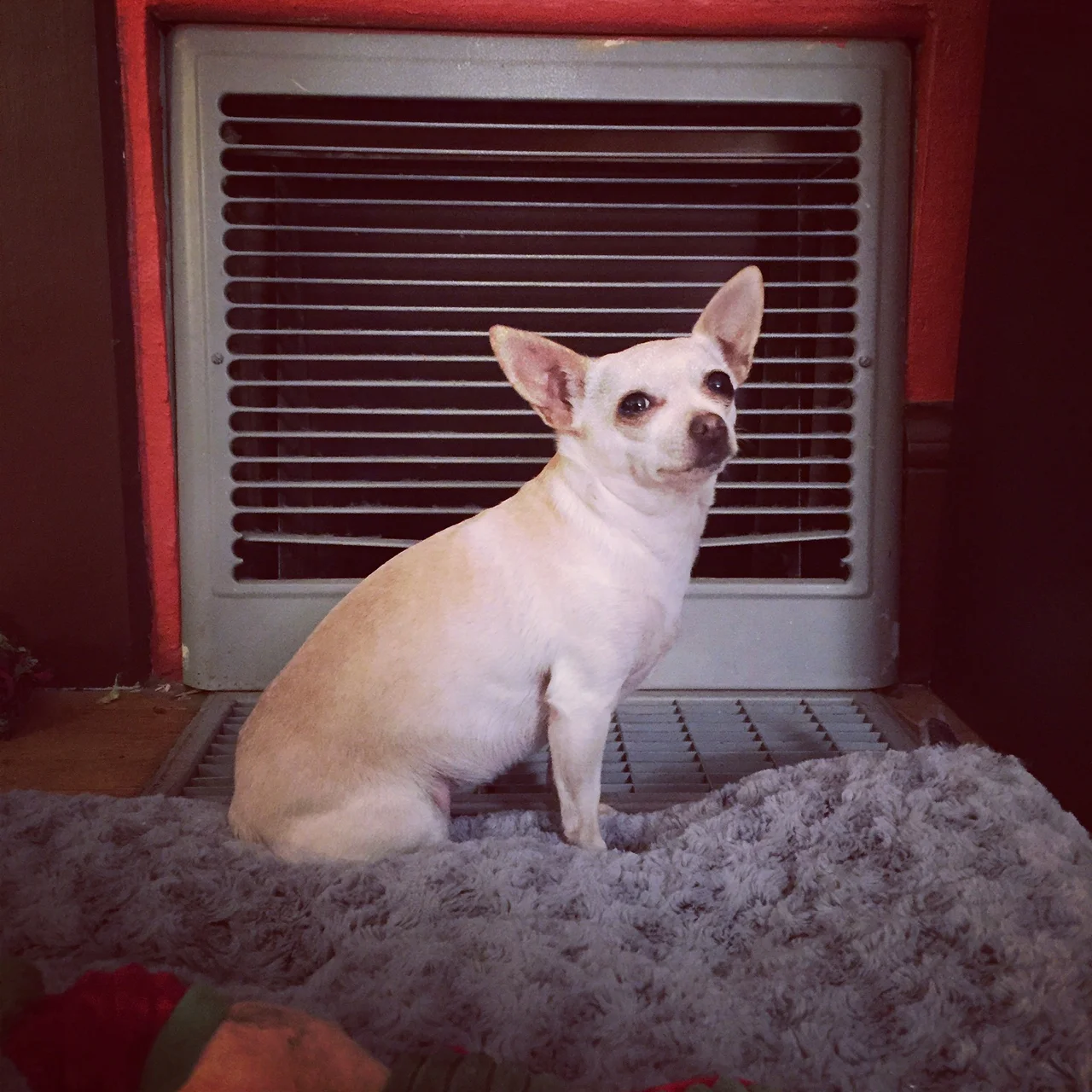Looking behind, looking ahead.