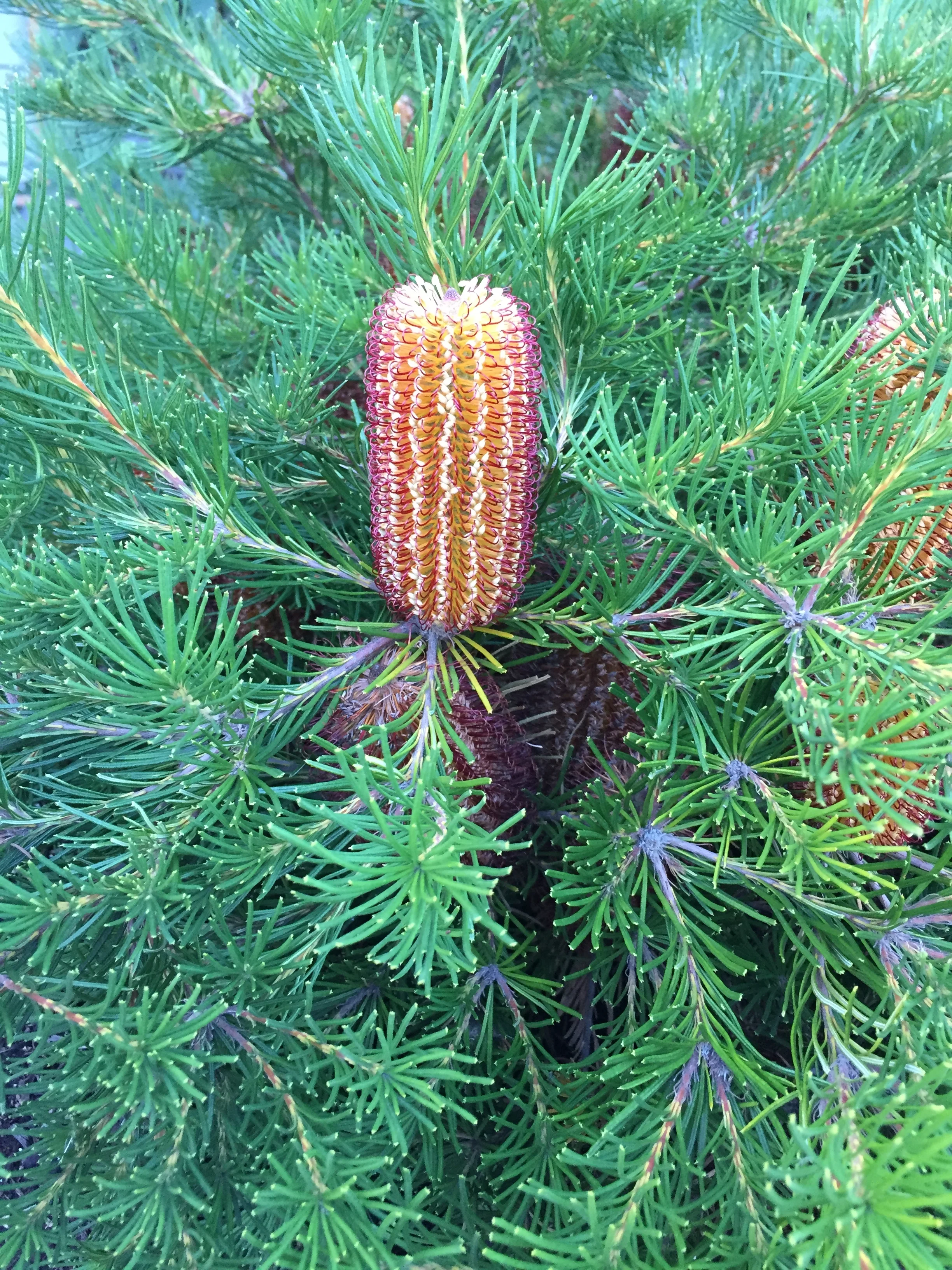 Healing Activities for the New Year During Loss or Transition