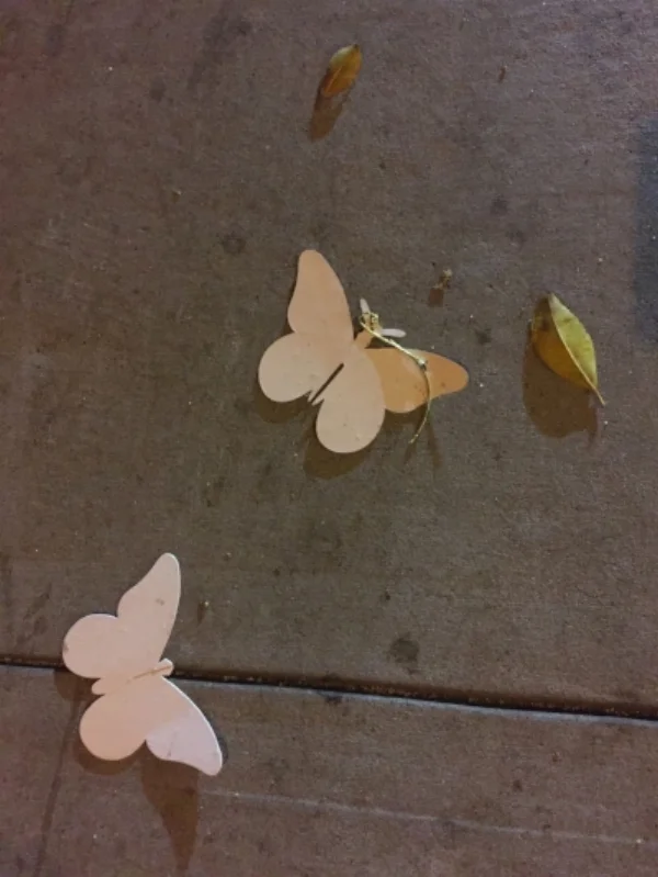 Photo taken by Molly Merson of an accidental installation on a street in San Francisco.