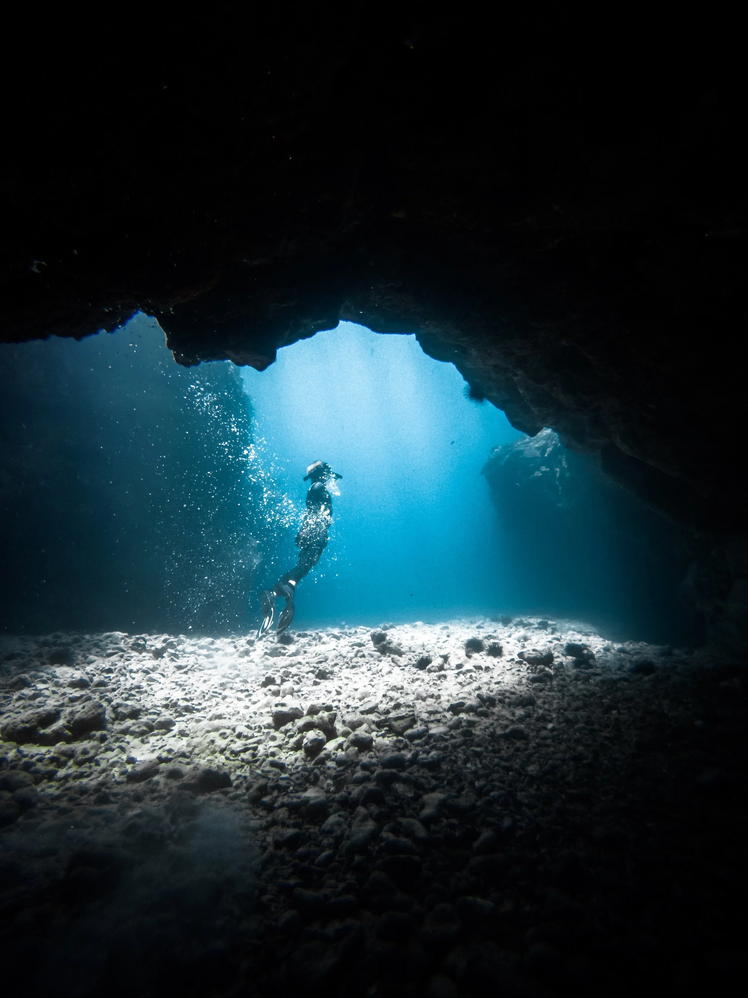 Facing Insecurity, Embracing Empathy