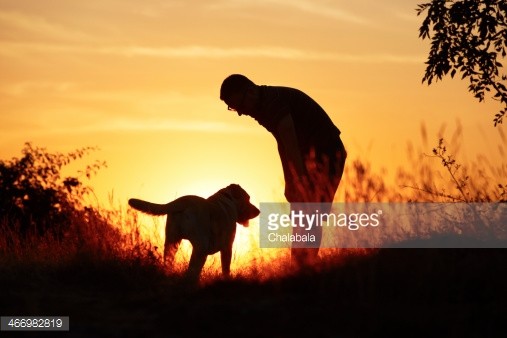 Photo by Chalabala/iStock / Getty Images