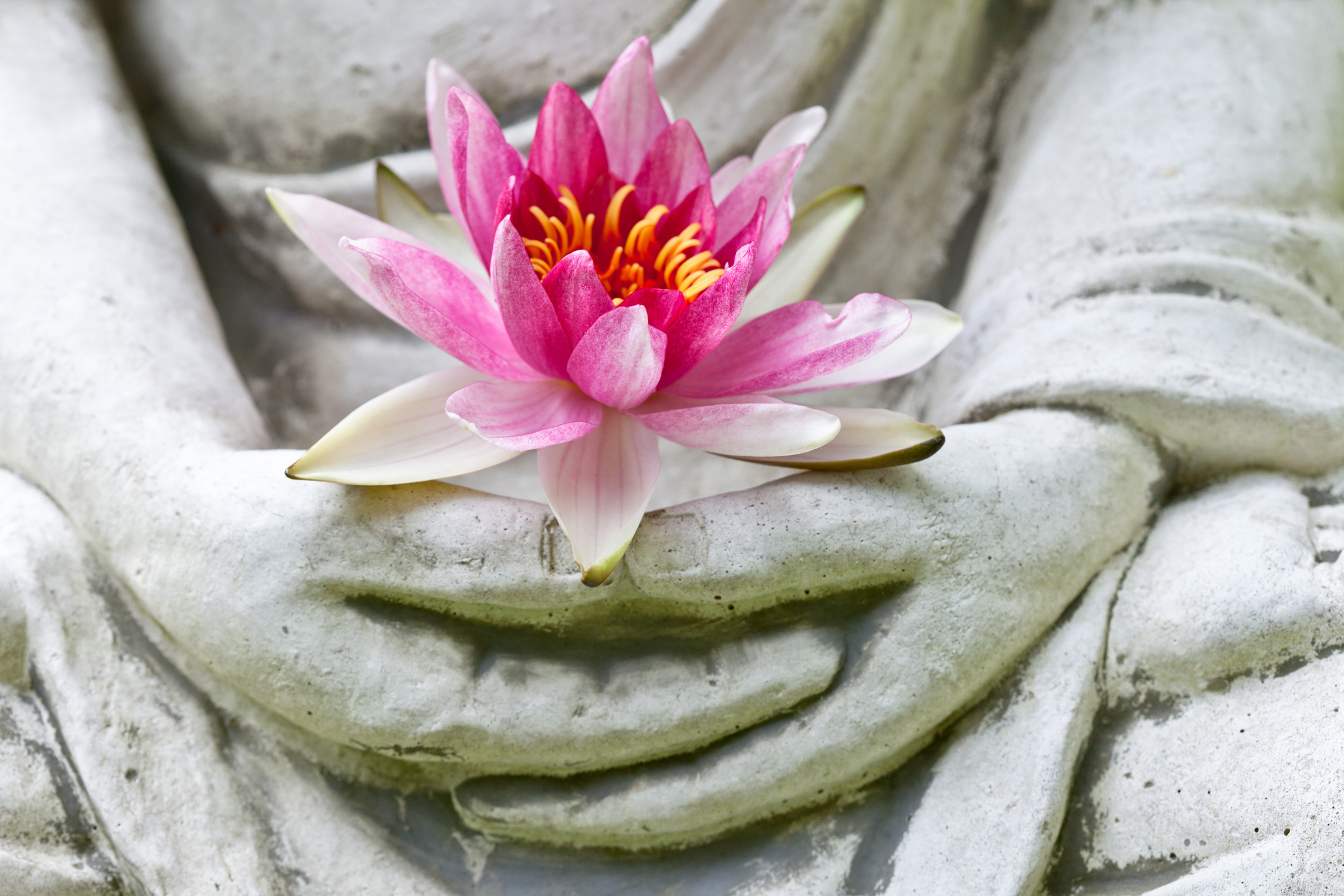 Photo by AnnaBreit/iStock / Getty Images