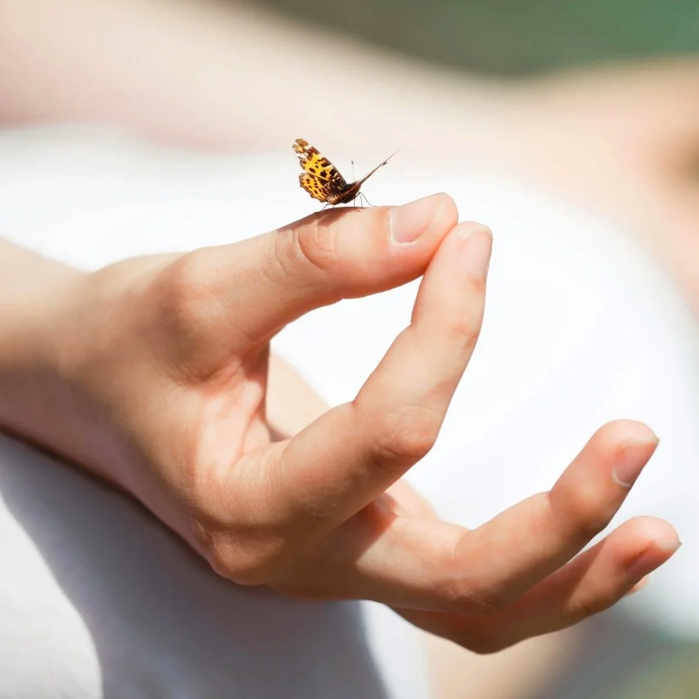 MONDAY  DEC 29th 2:30pm-5:30pm 2025  The Relaxation Revolution Focus on The Wisdom of Equanimity