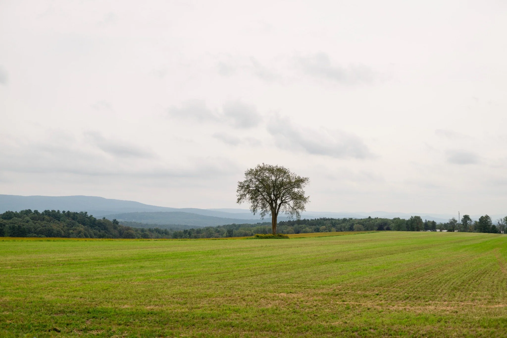 Green fields and mountain views in the Berkshires