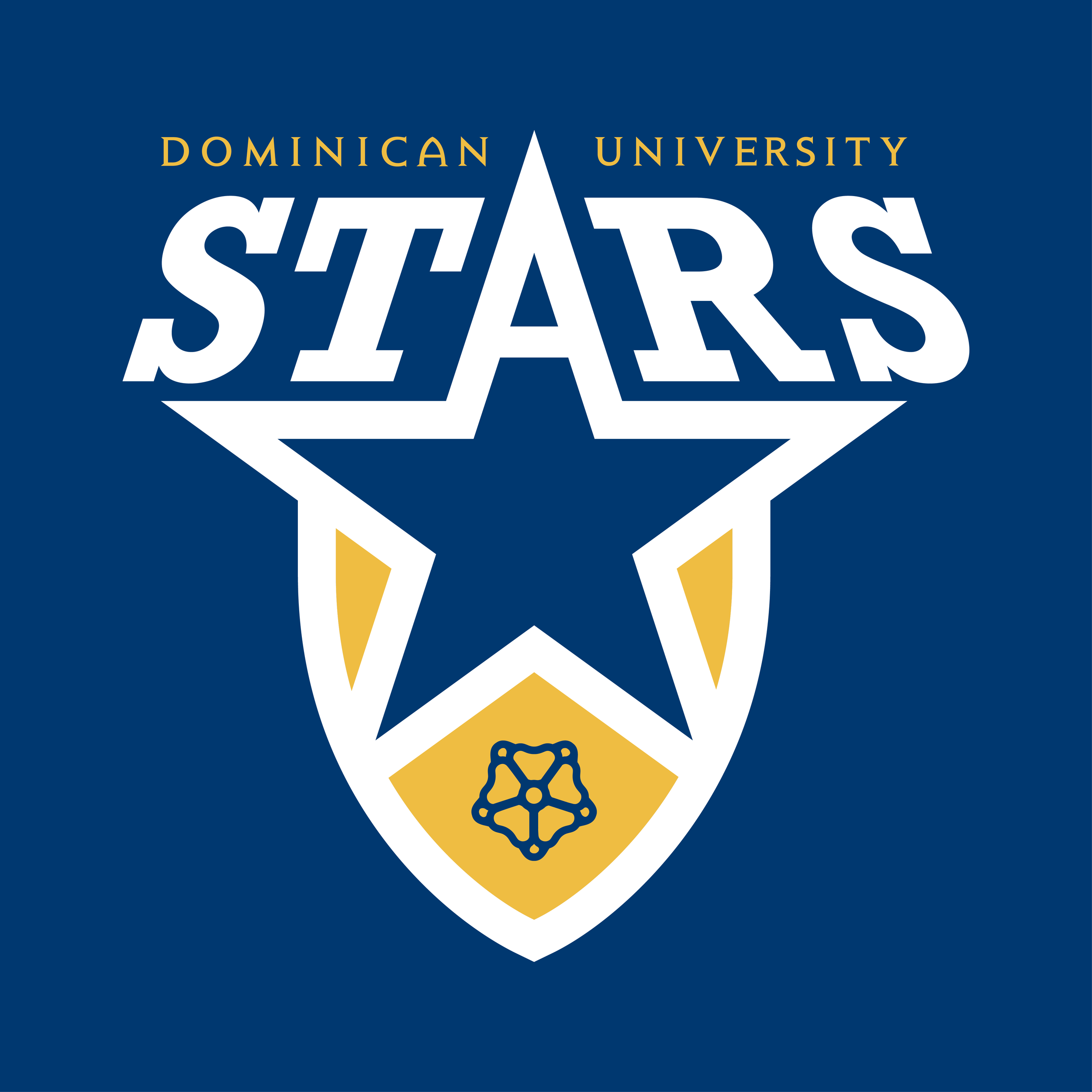 Dominican University Stars