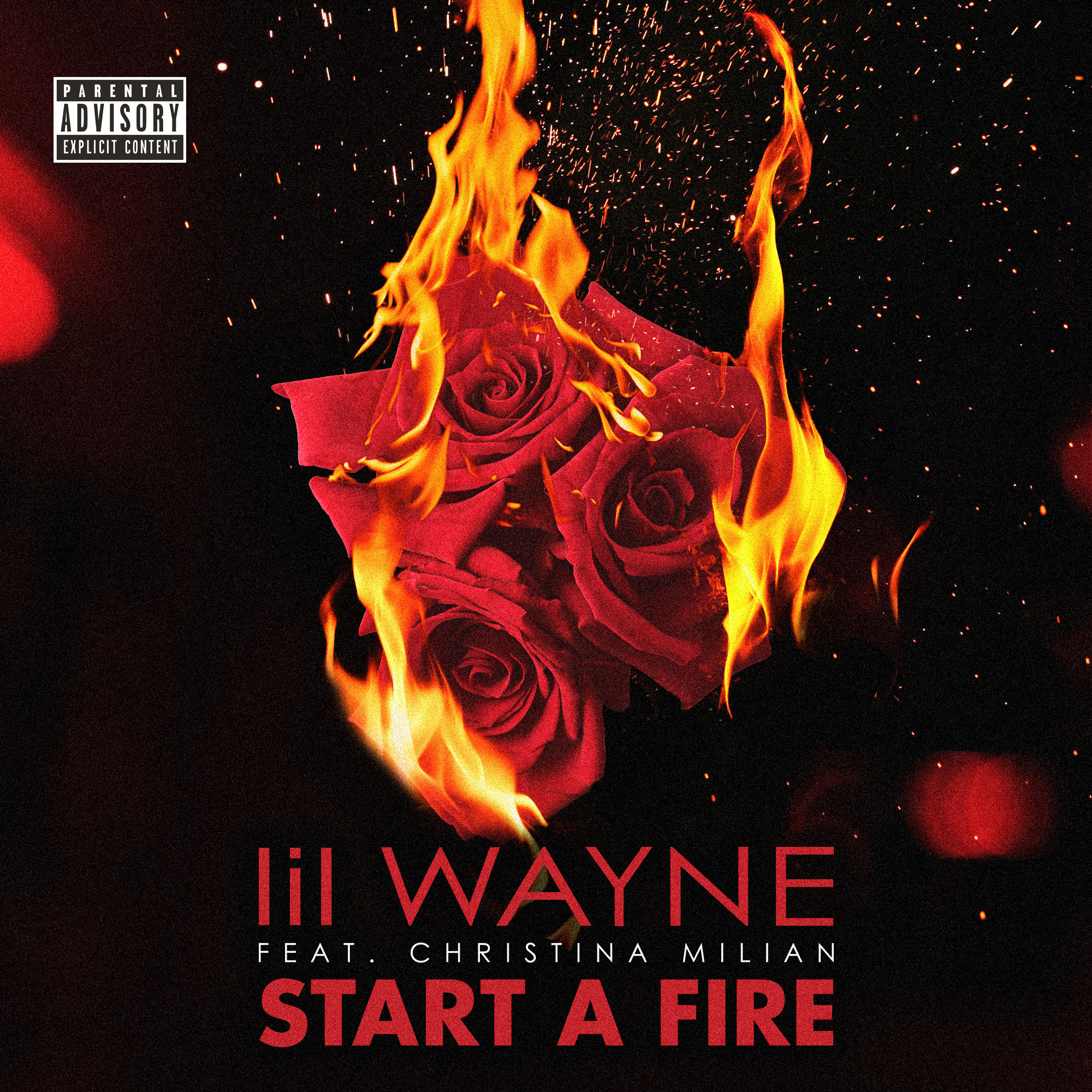 UNUSED cover artwork for Lil Wayne's 2014 single "Start a Fire".