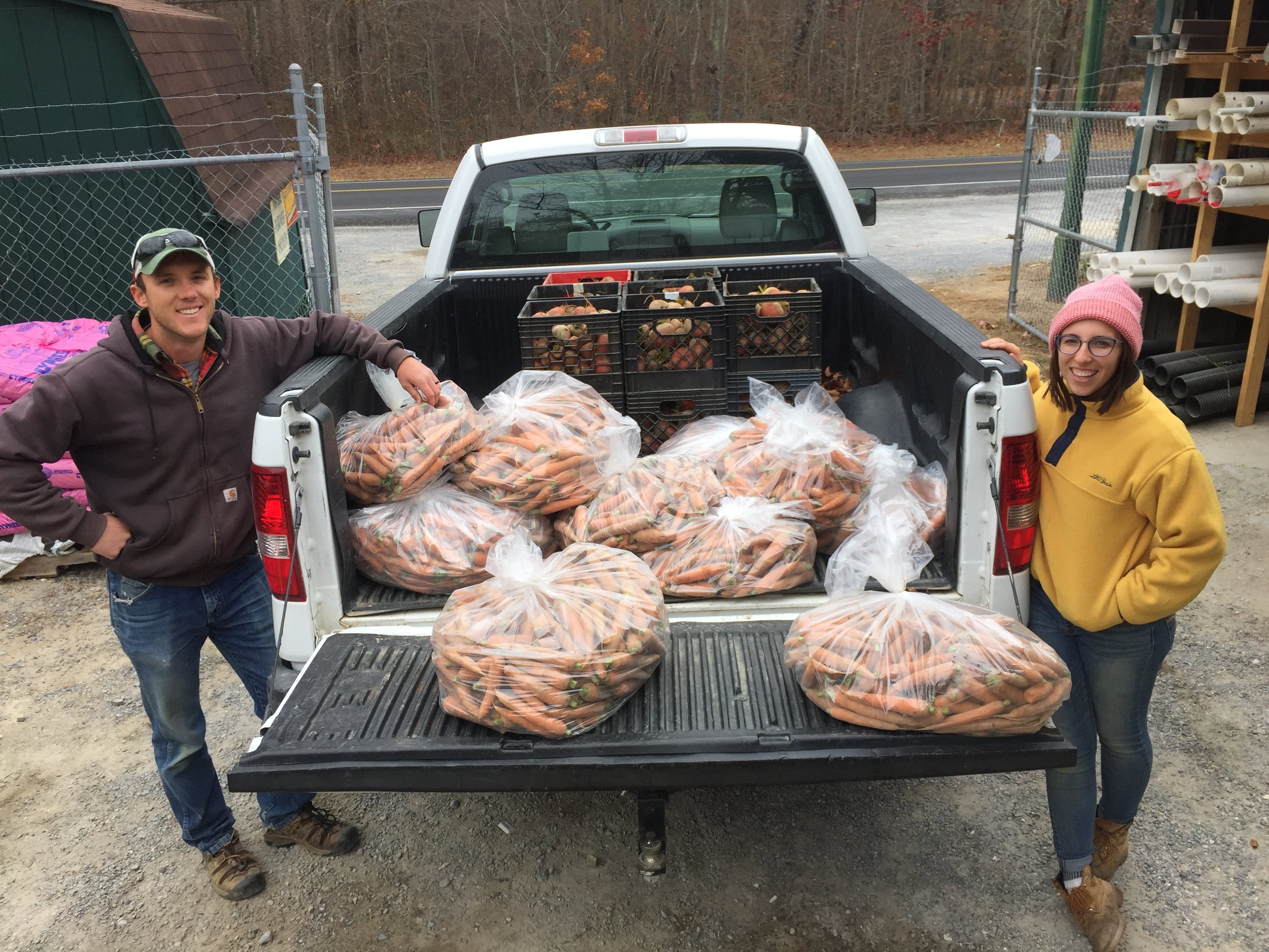 The Farm at Windy Hill just a mile from our kitchen is growing us multiple tons of carrots, beets and cabbage.