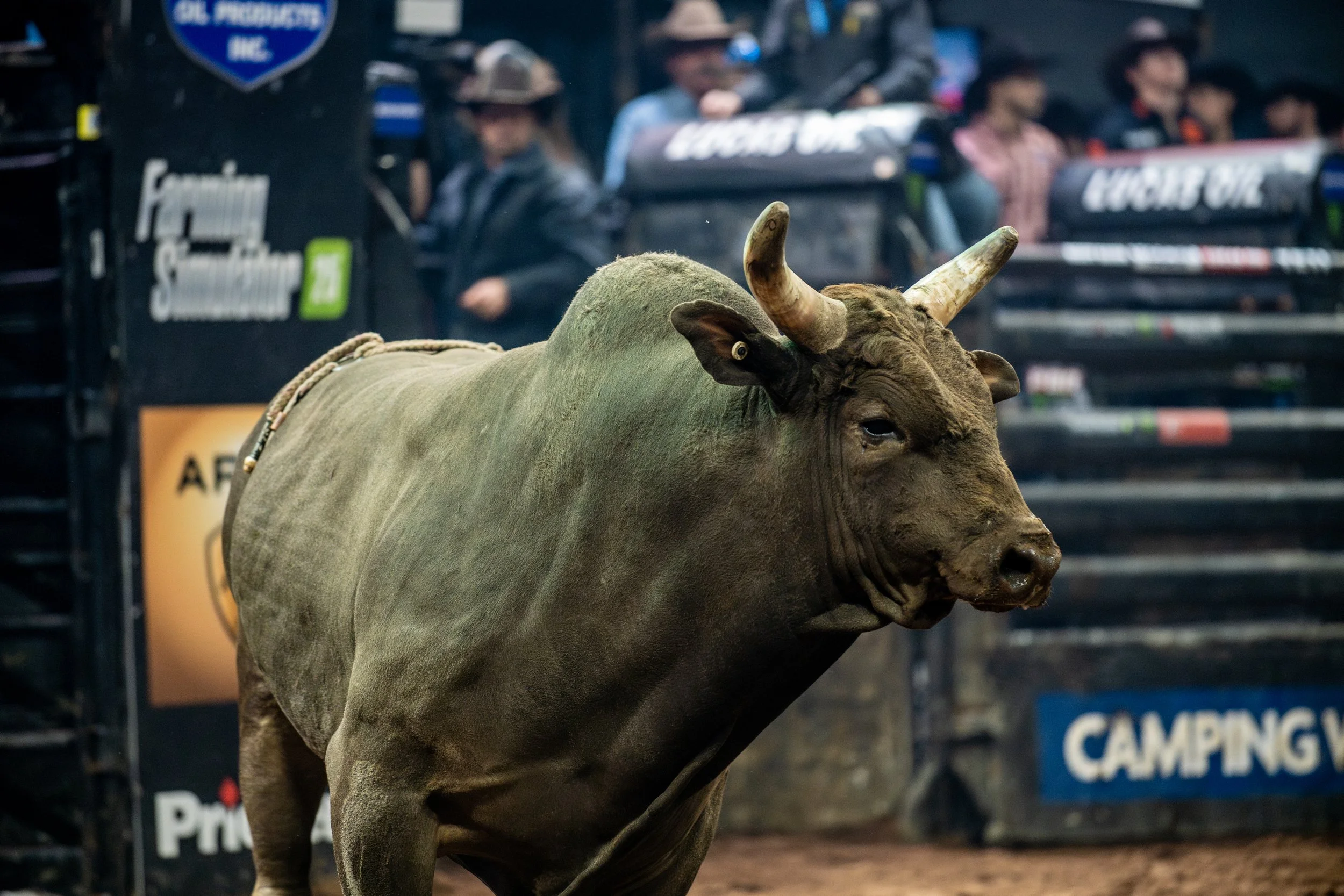 PBR - Jacksonville, FL-21.jpg