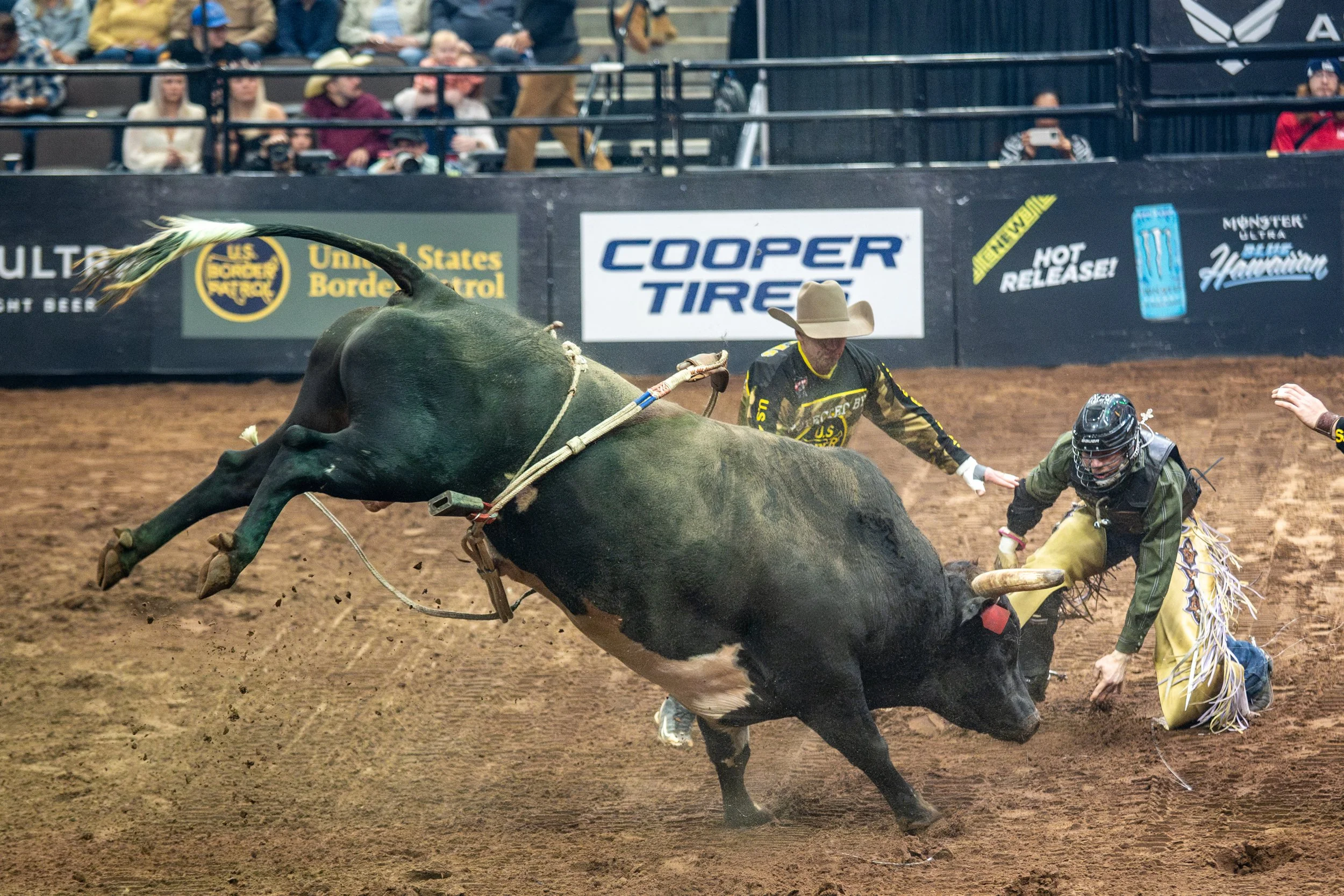 PBR - Jacksonville, FL-28.jpg