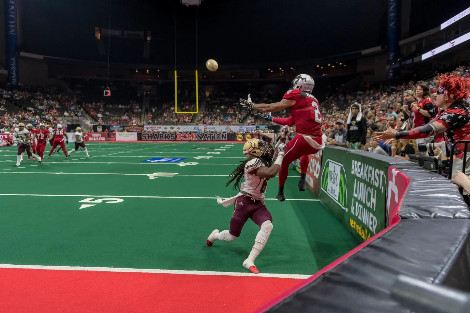 jaxsharks.webp