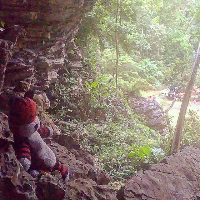 He kept asking me where all the other 🐯 were. I had to tell him they were in another cave we couldn't explore yet...