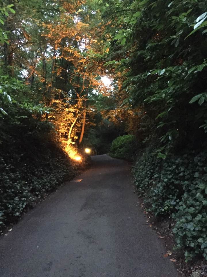 Path to the hostel
