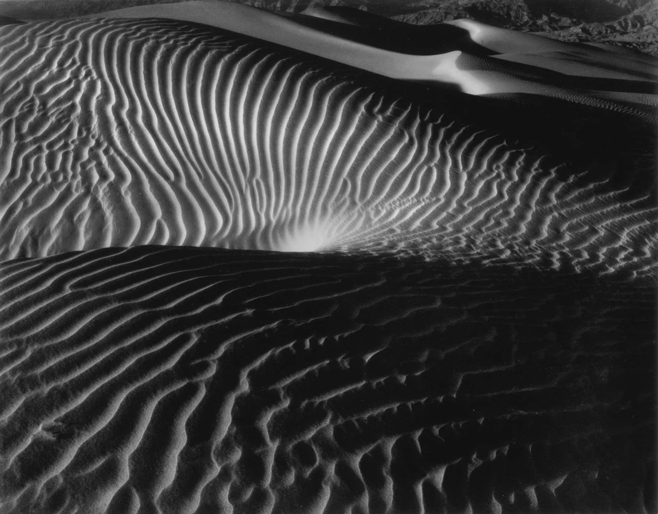 Midnight Dune.jpg