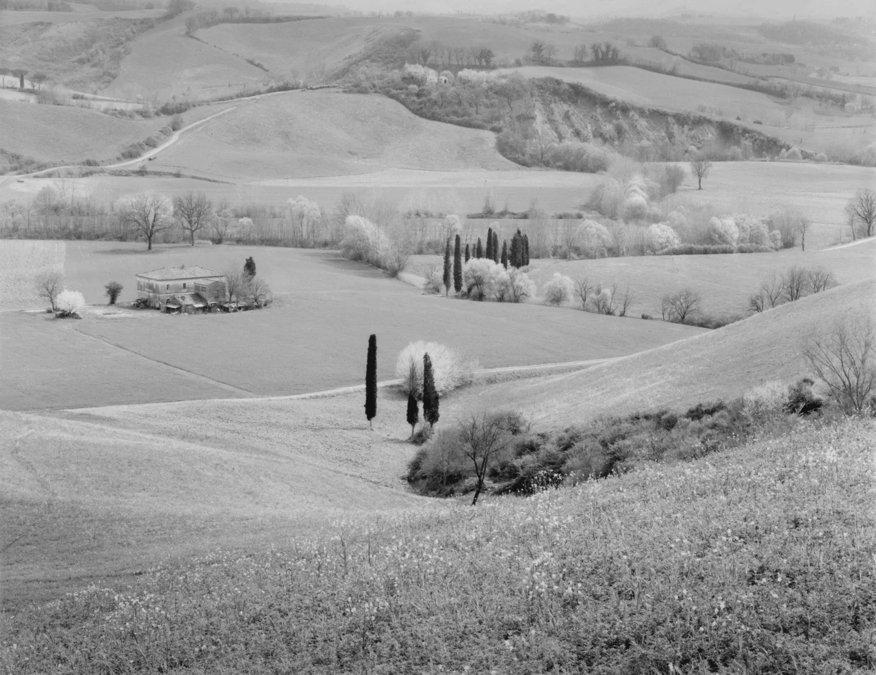 Toscana Farmlands.jpg